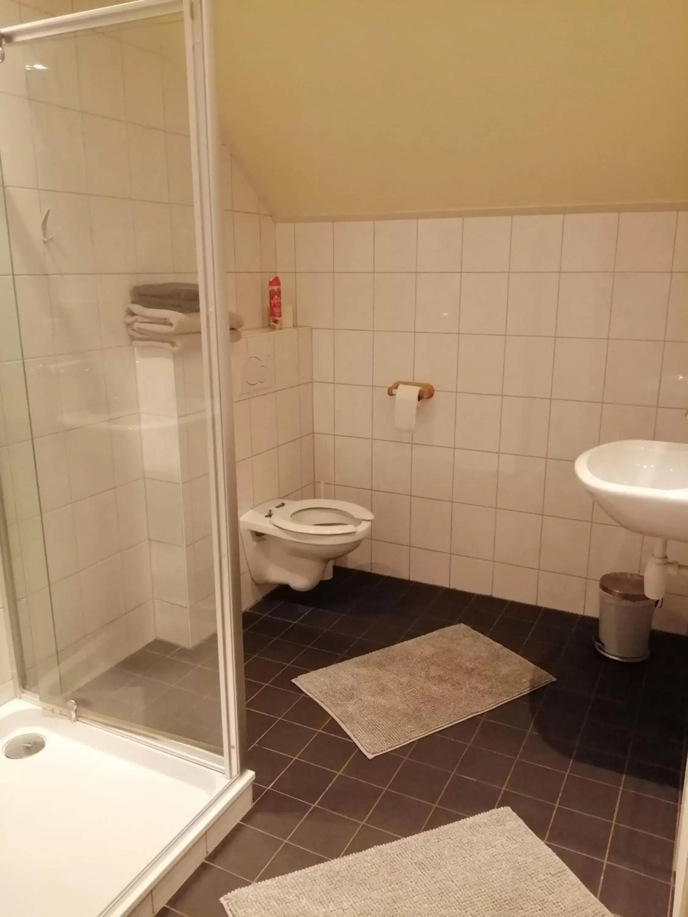 Double Room with Private Bathroom - single occupancy in De Kapschuur Double Room with Private Bathroom - single occupancy in De Kapschuur