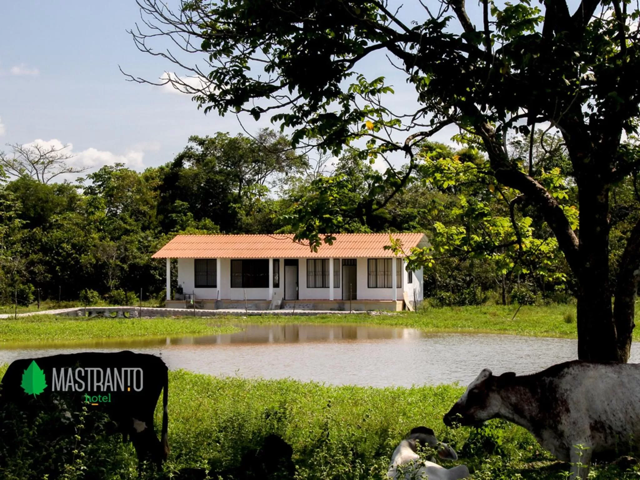 Property Building in Hotel Mastranto