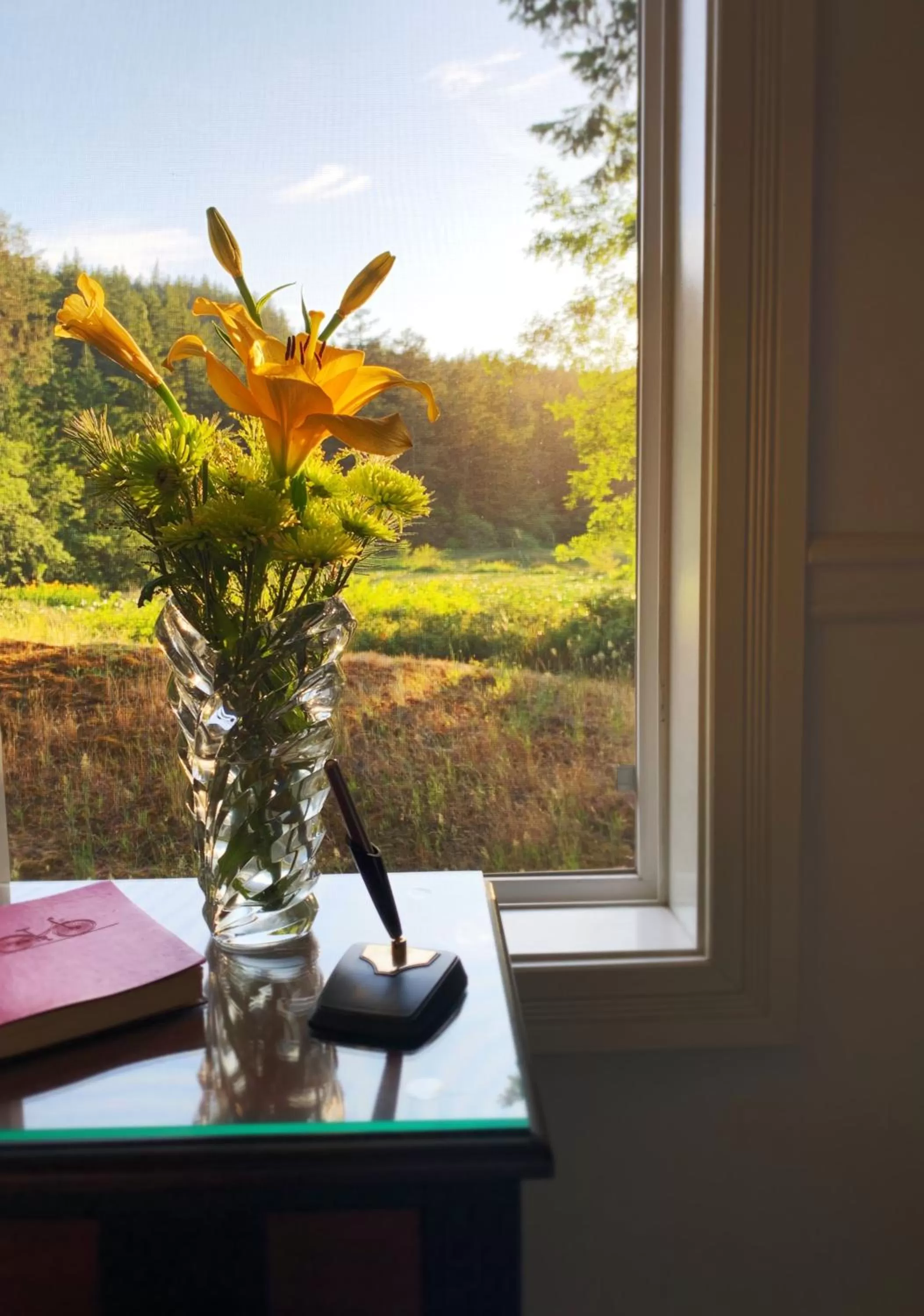 Lake view in Otter's Pond Bed and Breakfast