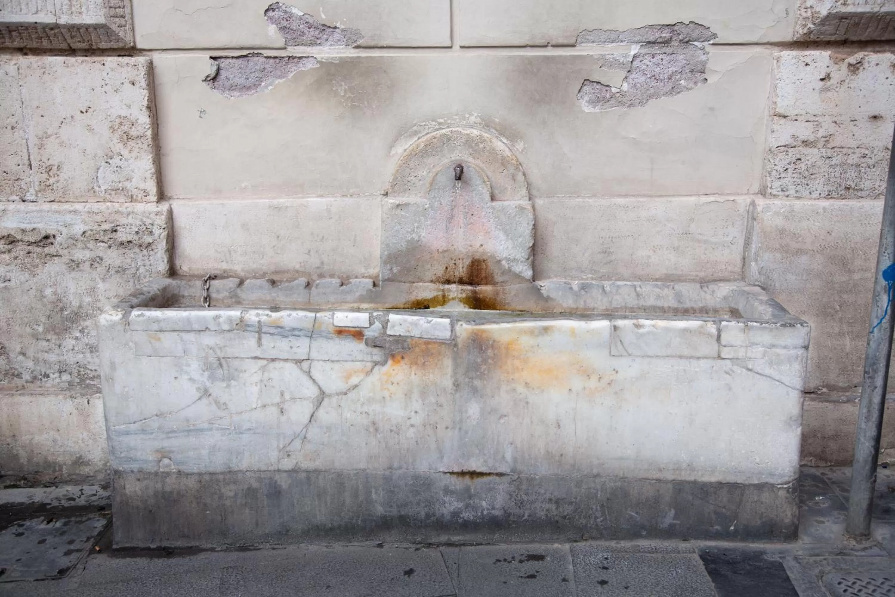 Nearby landmark in Repetita Juvant