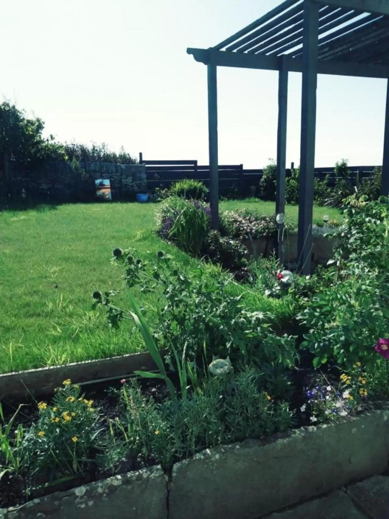 Other, Garden in Horseshoecroft