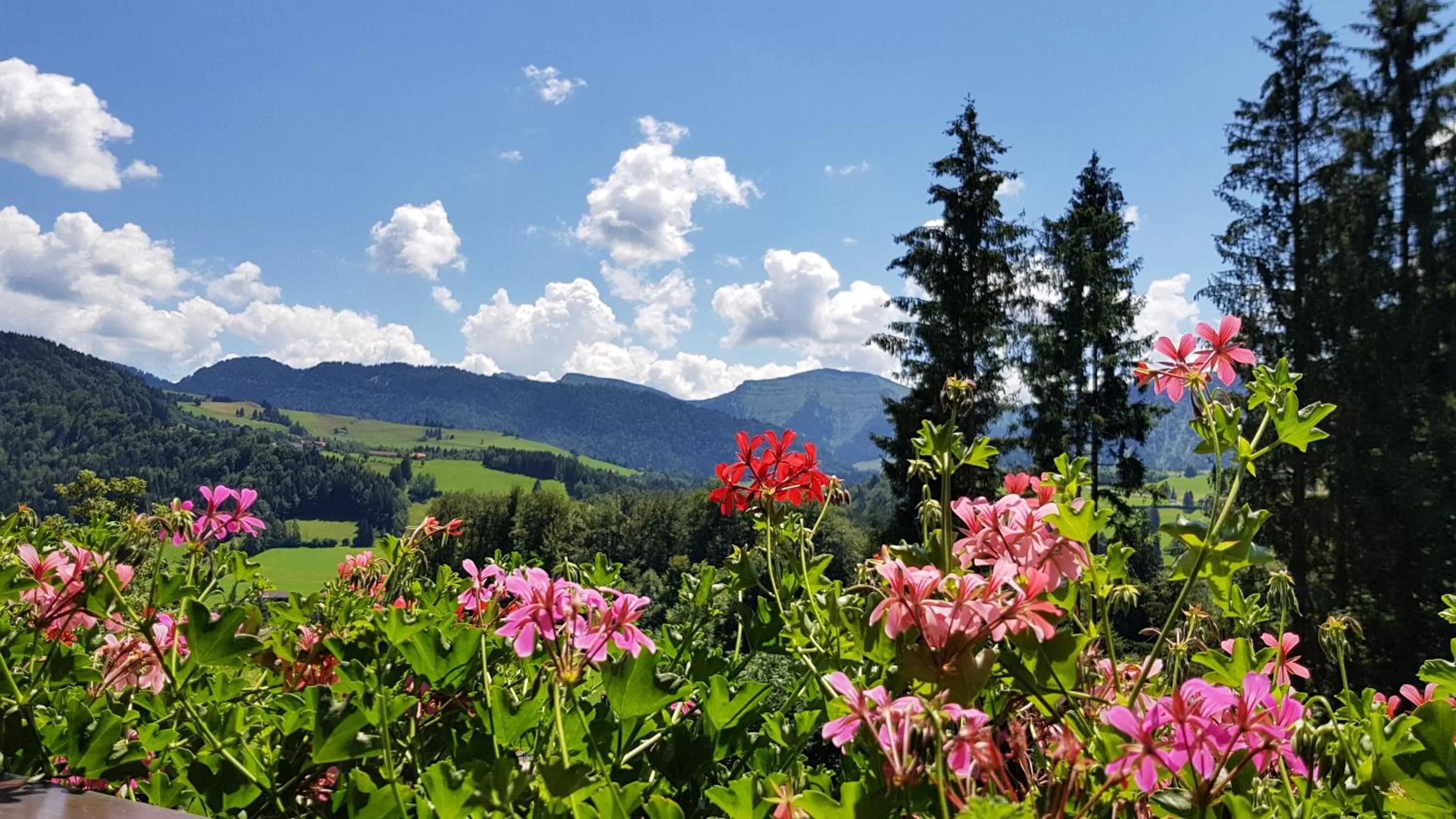 Mountain view in MONDI Resort und Chalet Oberstaufen