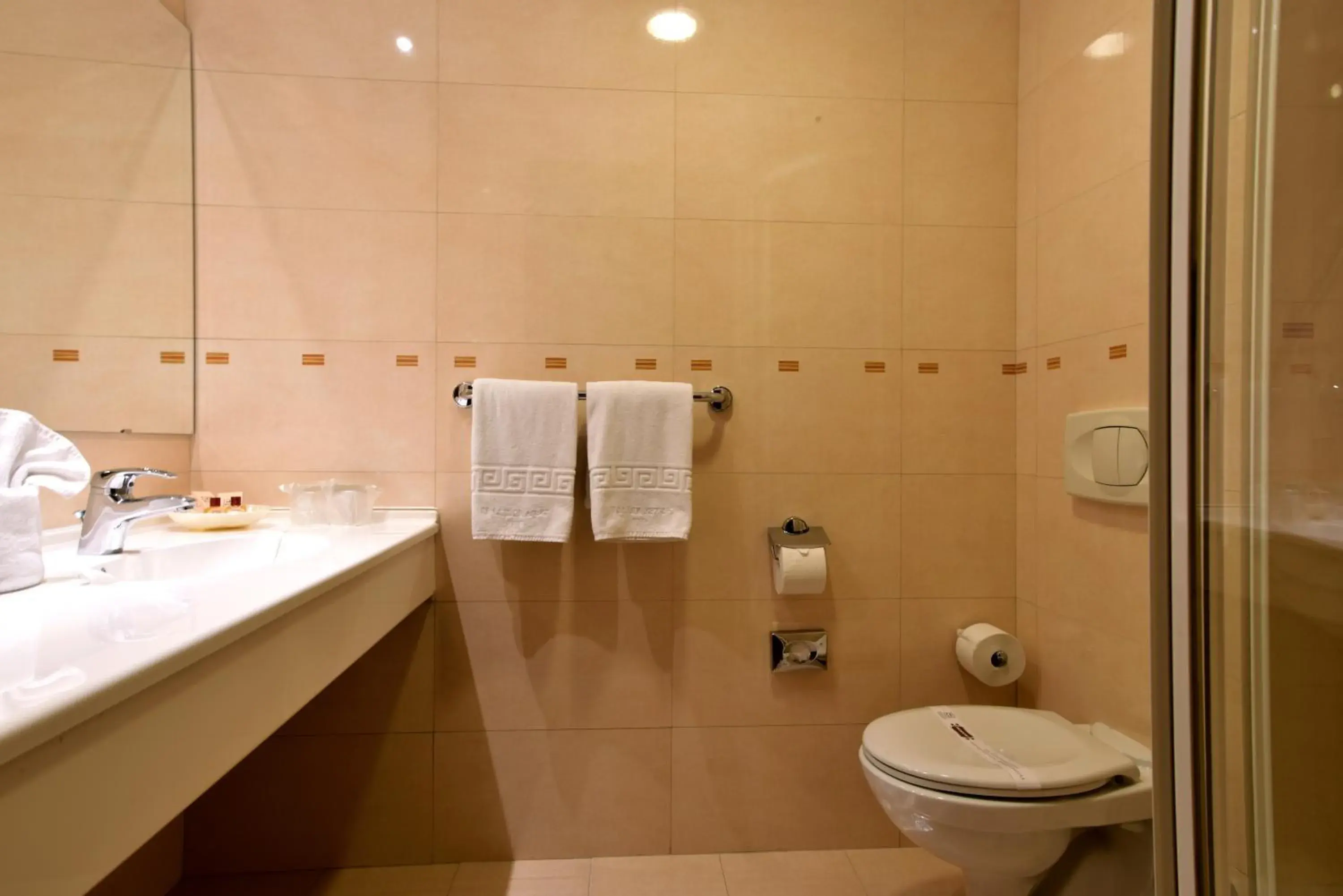 Toilet, Bathroom in Hotel Brasov