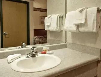 Double Room - Disability Access/Non-Smoking in Ramada by Wyndham Strasburg Dover