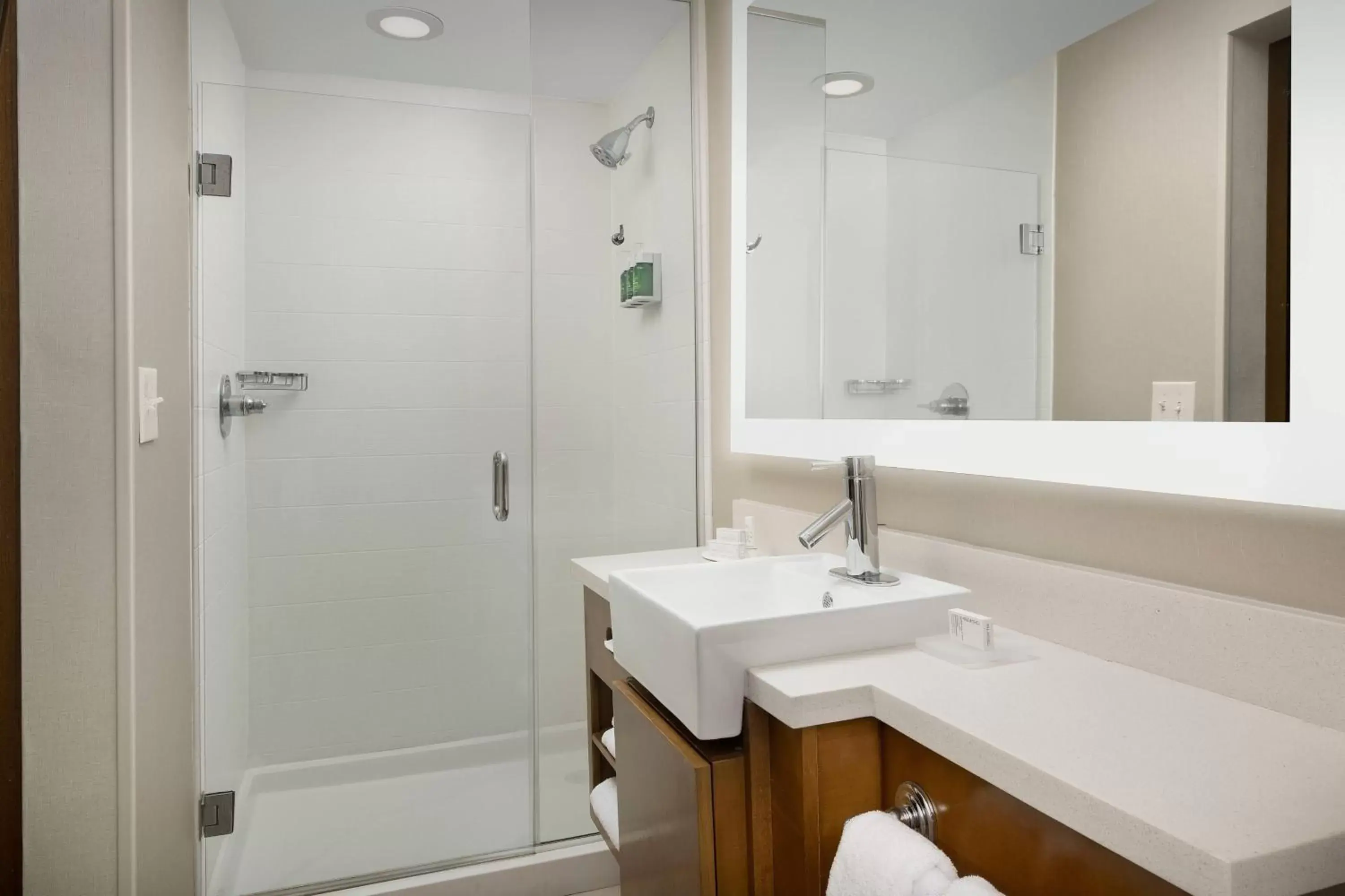Bathroom in Springhill Suites by Marriott Jackson North/Ridgeland