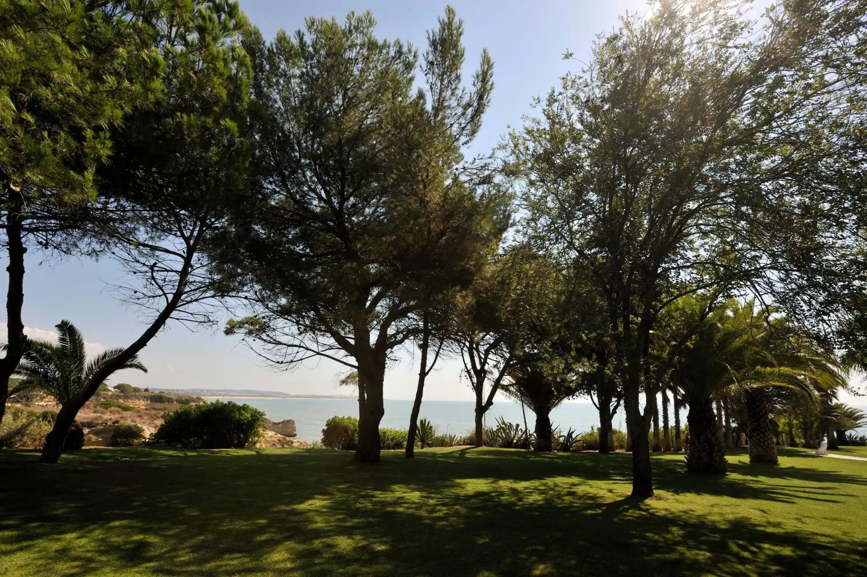 Garden in Pestana Viking Beach & SPA Resort