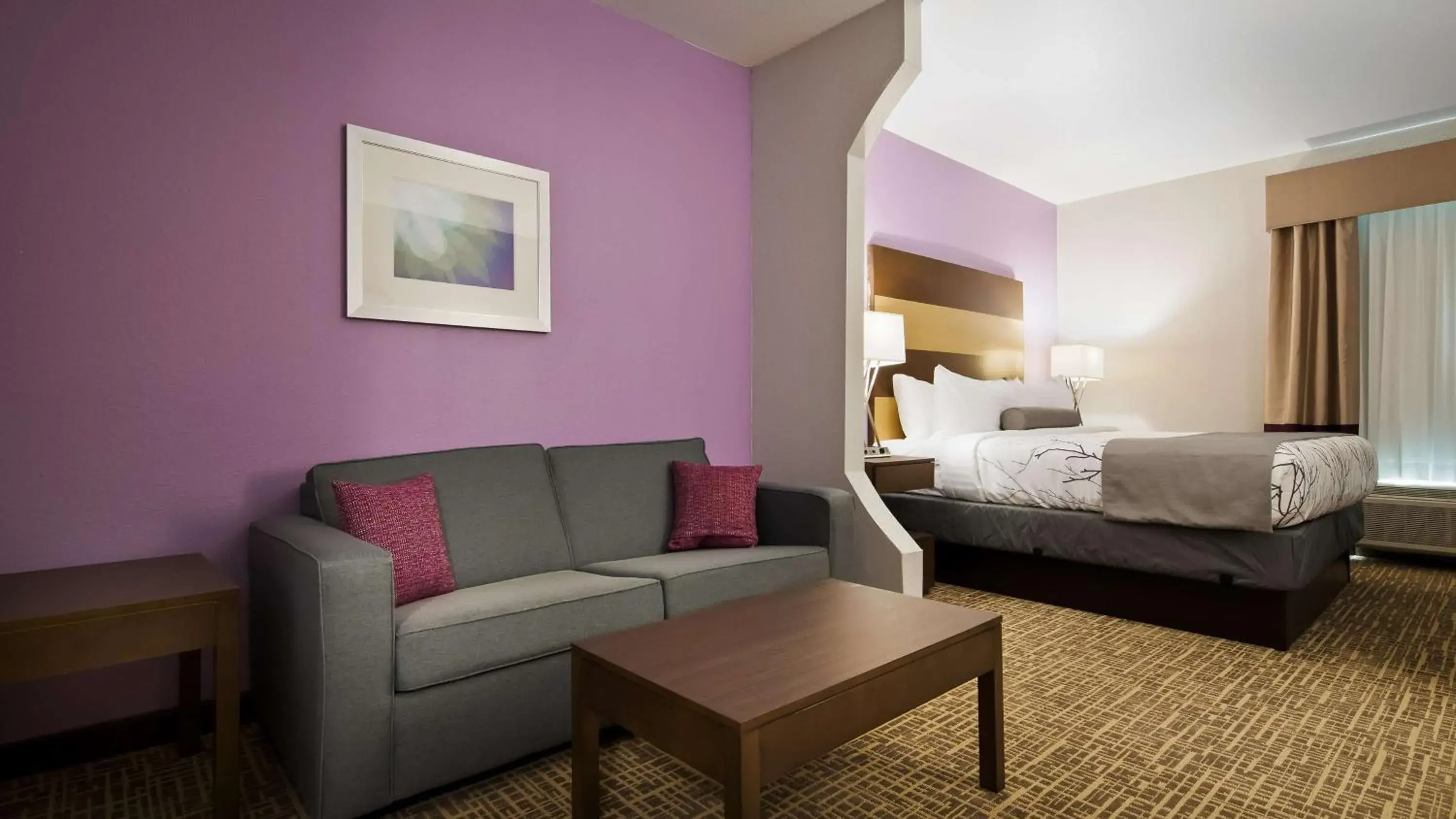 Photo of the whole room in Best Western Plus Buda Austin Inn & Suites