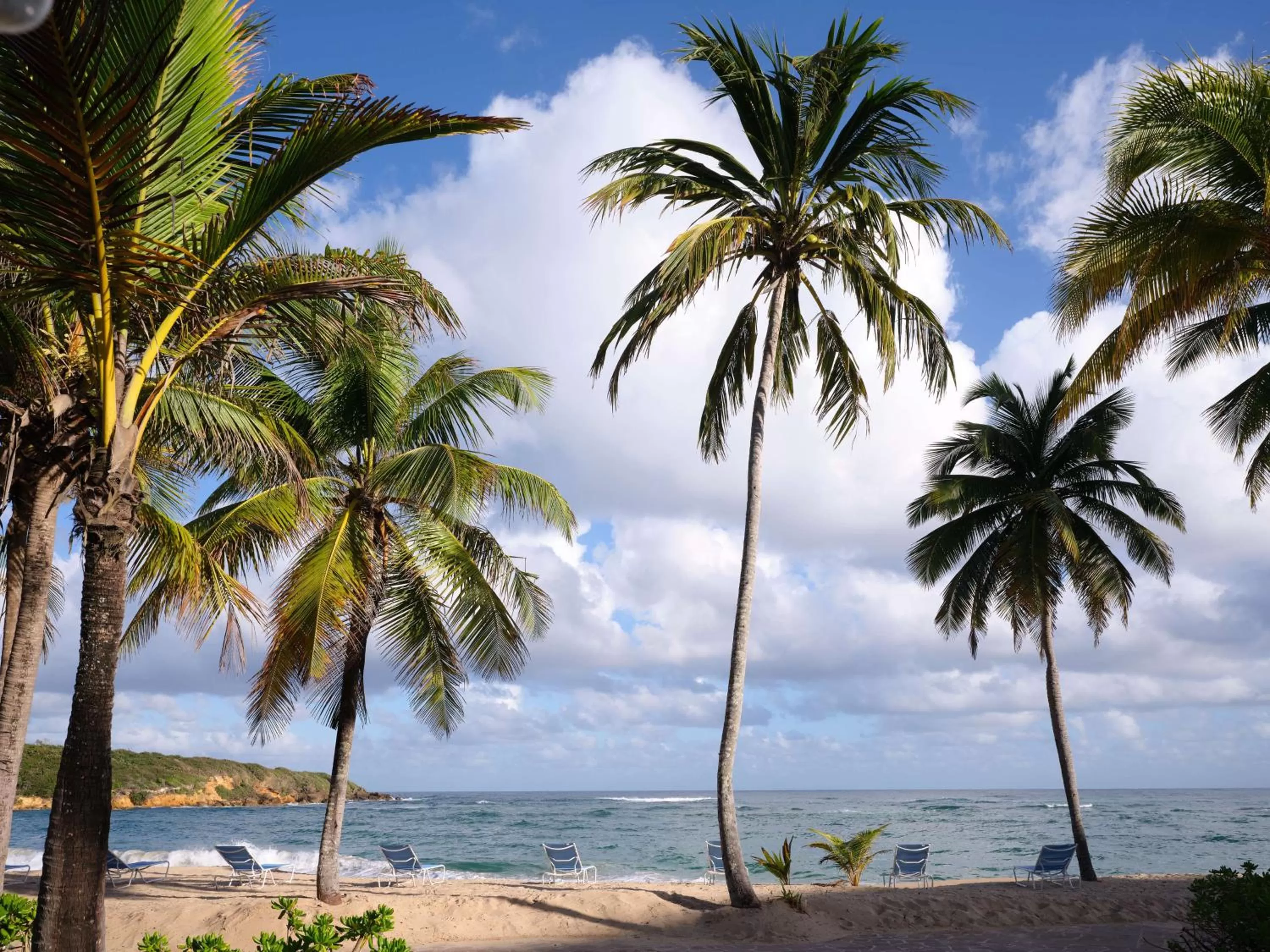 Day in Hyatt Vacation Club at Hacienda del Mar