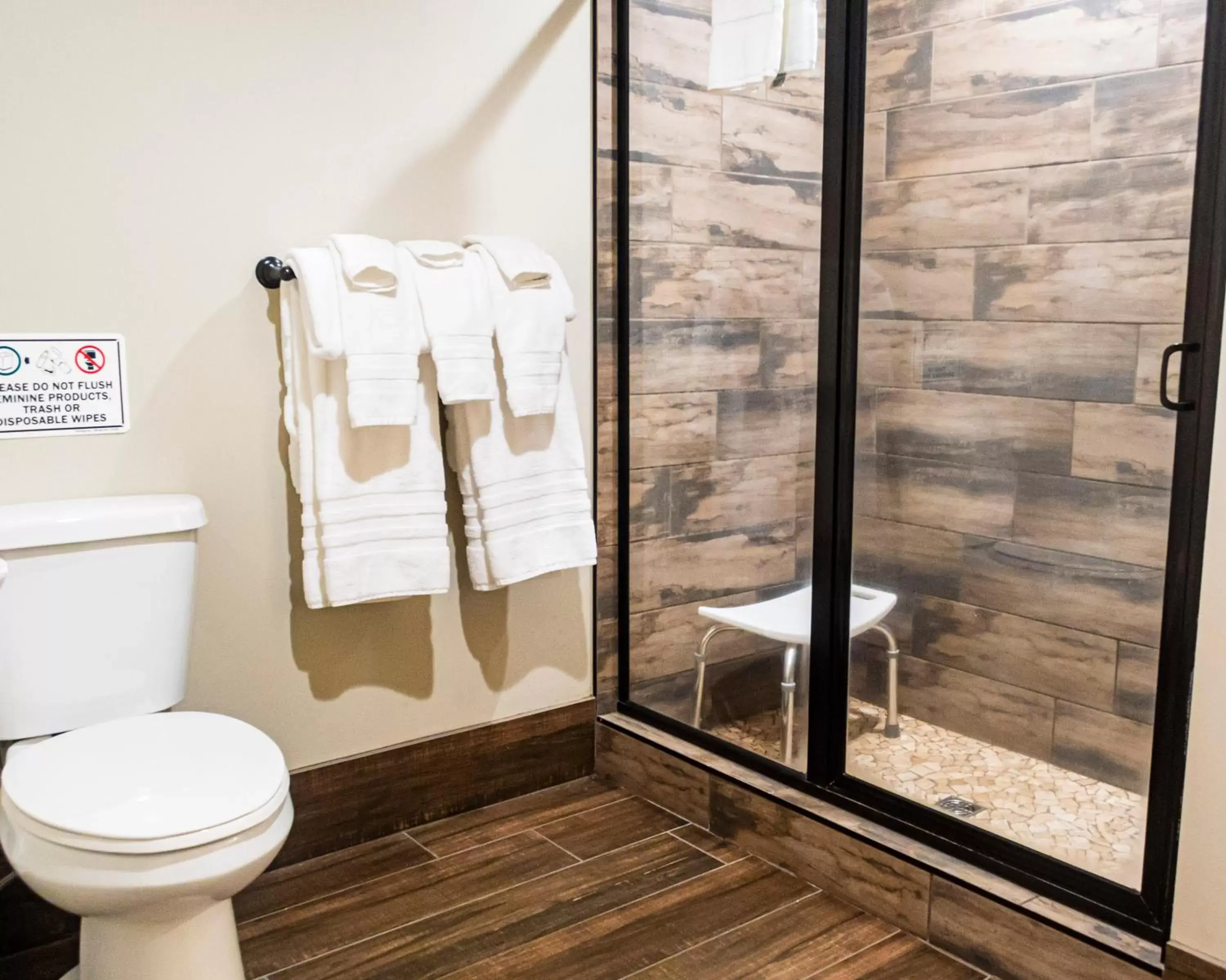 Shower, Bathroom in Sawtelle Mountain Resort