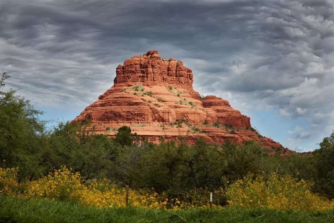 Cozy Cactus Resort sorta-kinda