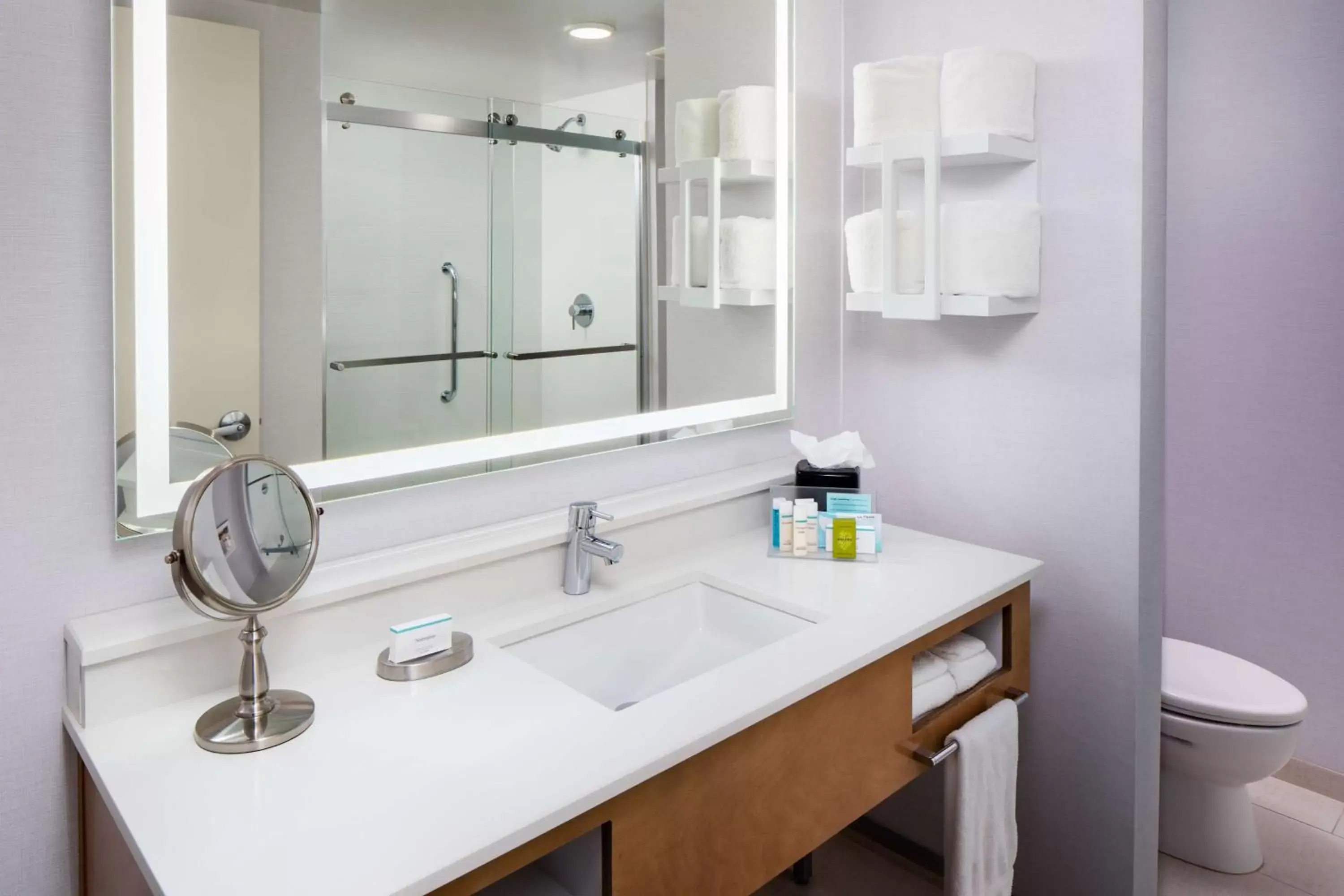 Bathroom in Hampton Inn & Suites by Hilton Miami Downtown/Brickell