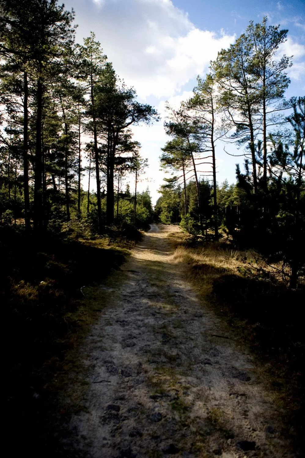 Area and facilities in Skaga Hotel