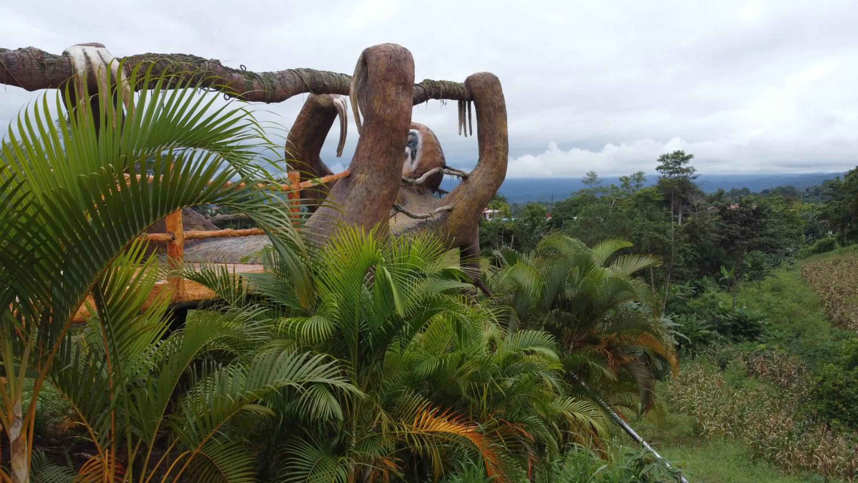 Restaurant/places to eat in Hotel Heliconias Nature Inn & Hot Springs