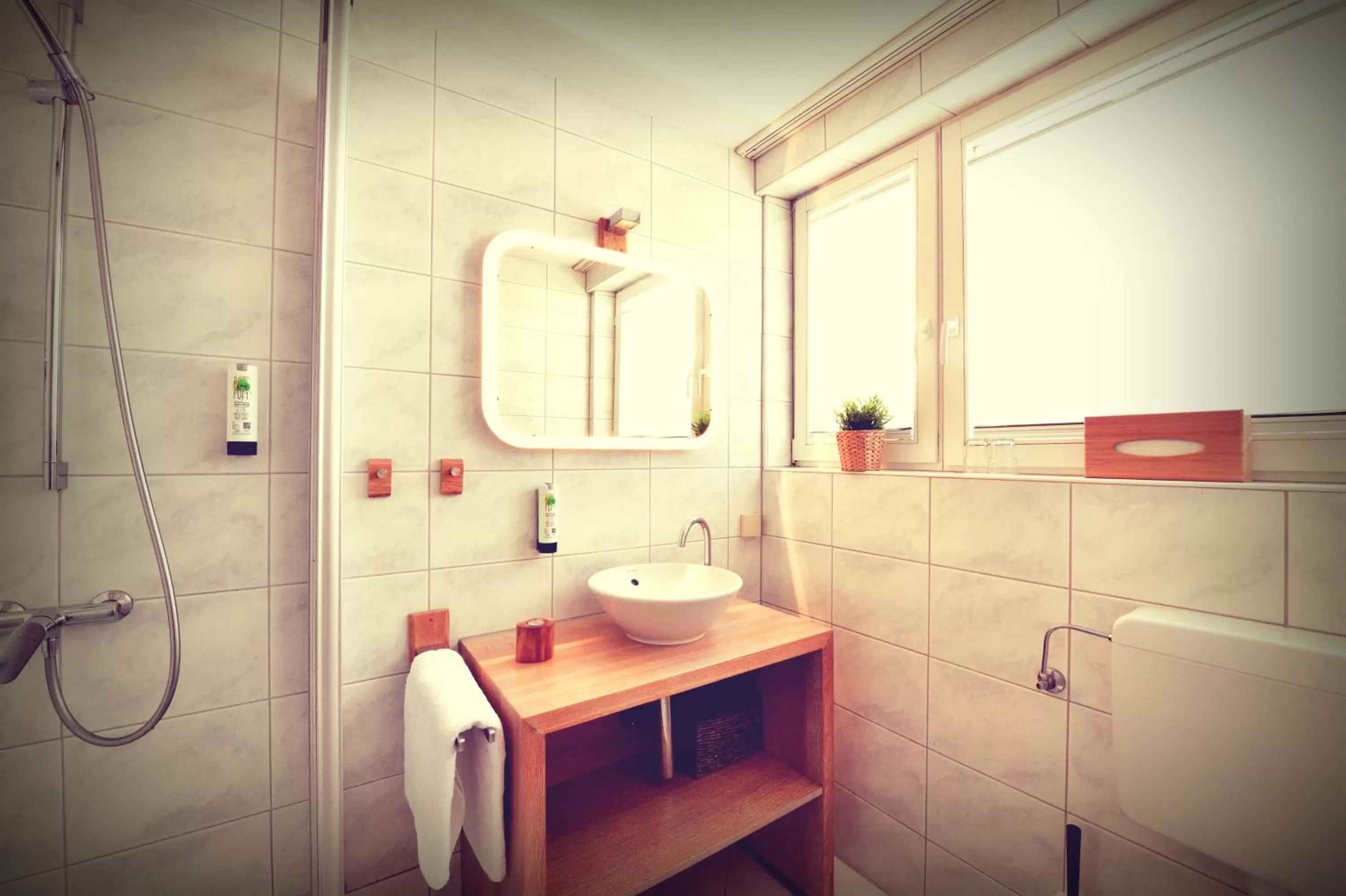 Shower in Hotel Nagel