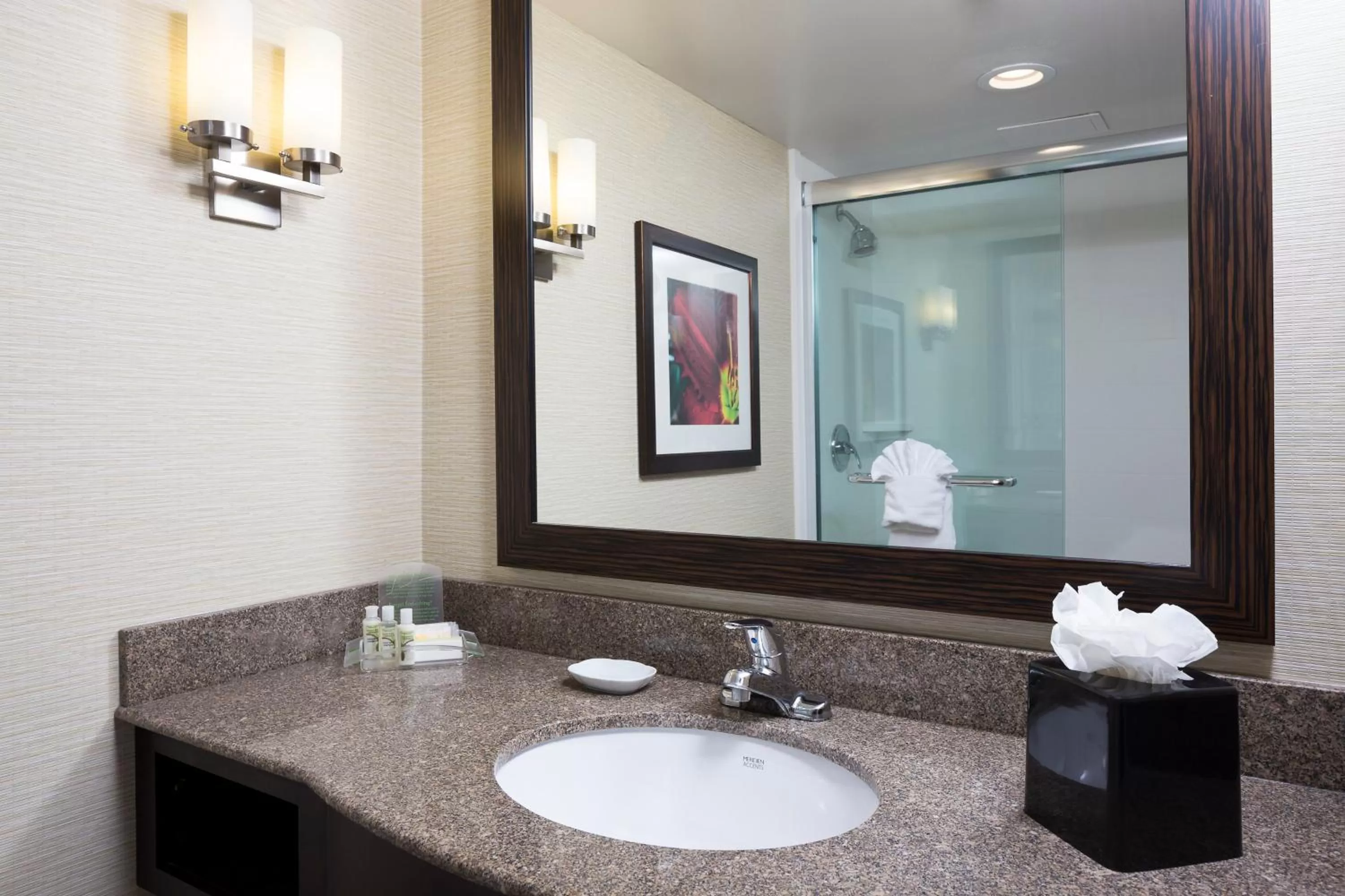 Bathroom in Holiday Inn Wichita East I-35 by IHG