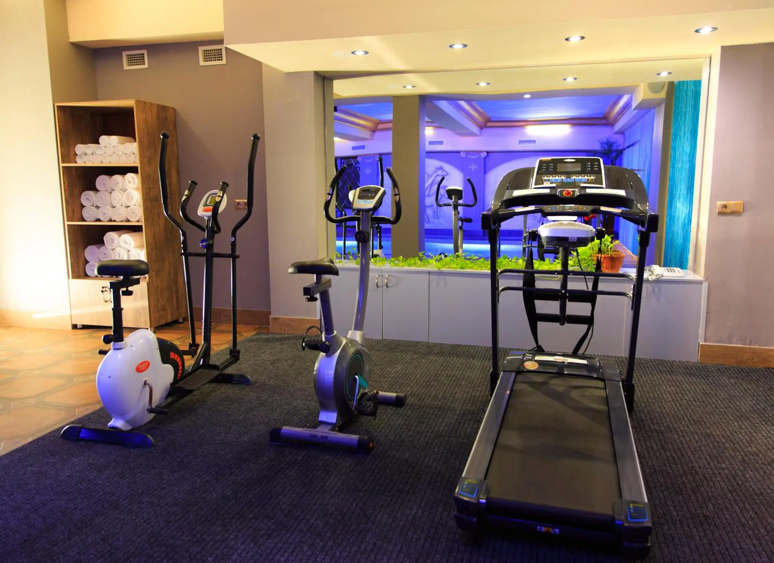 Fitness centre/facilities in Cron Palace Tbilisi Hotel