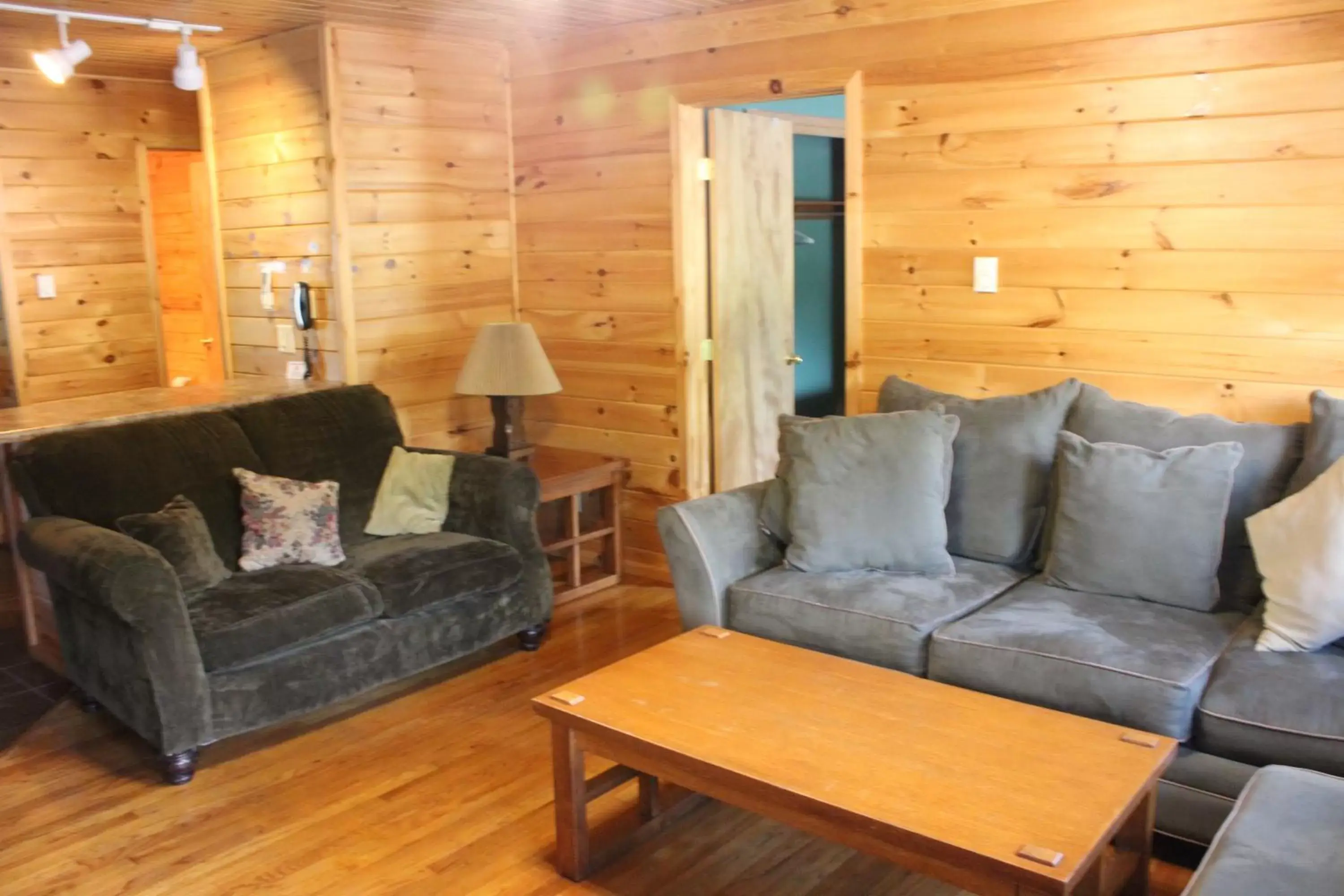 Living room, Seating Area in Blue Lagoon Resort