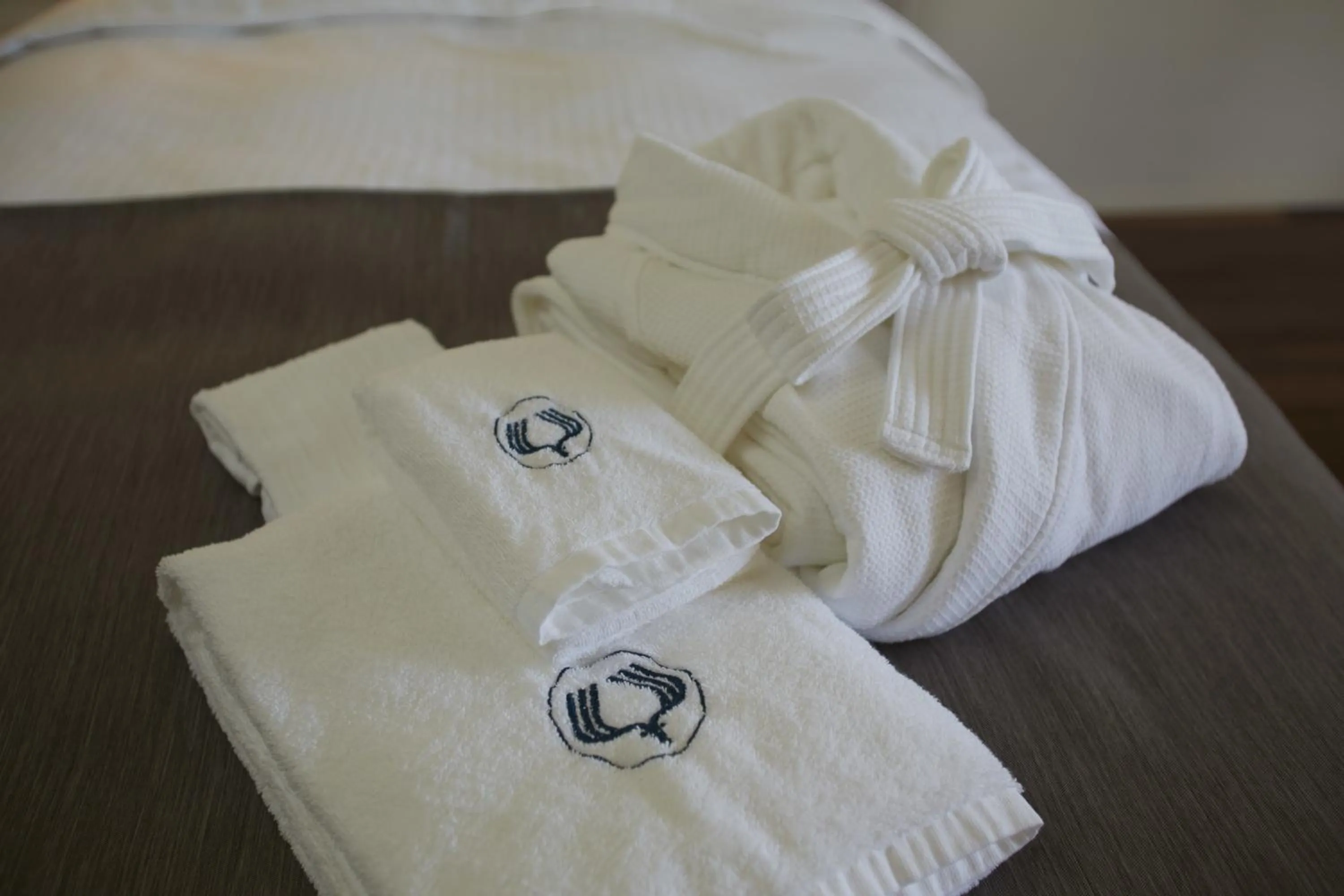 Photo of the whole room in Hakone Highland Hotel