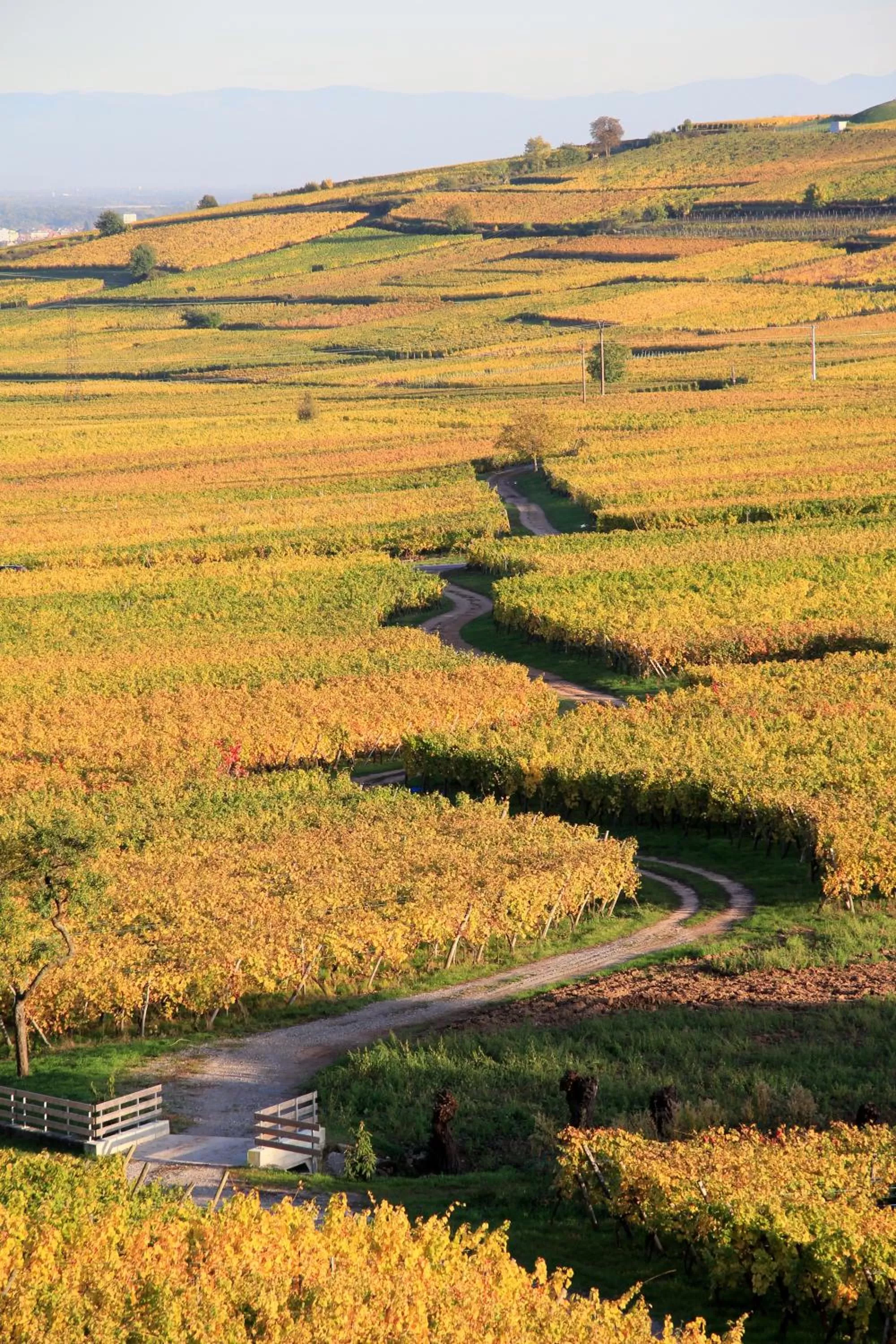 Activities in Résidence des Châteaux