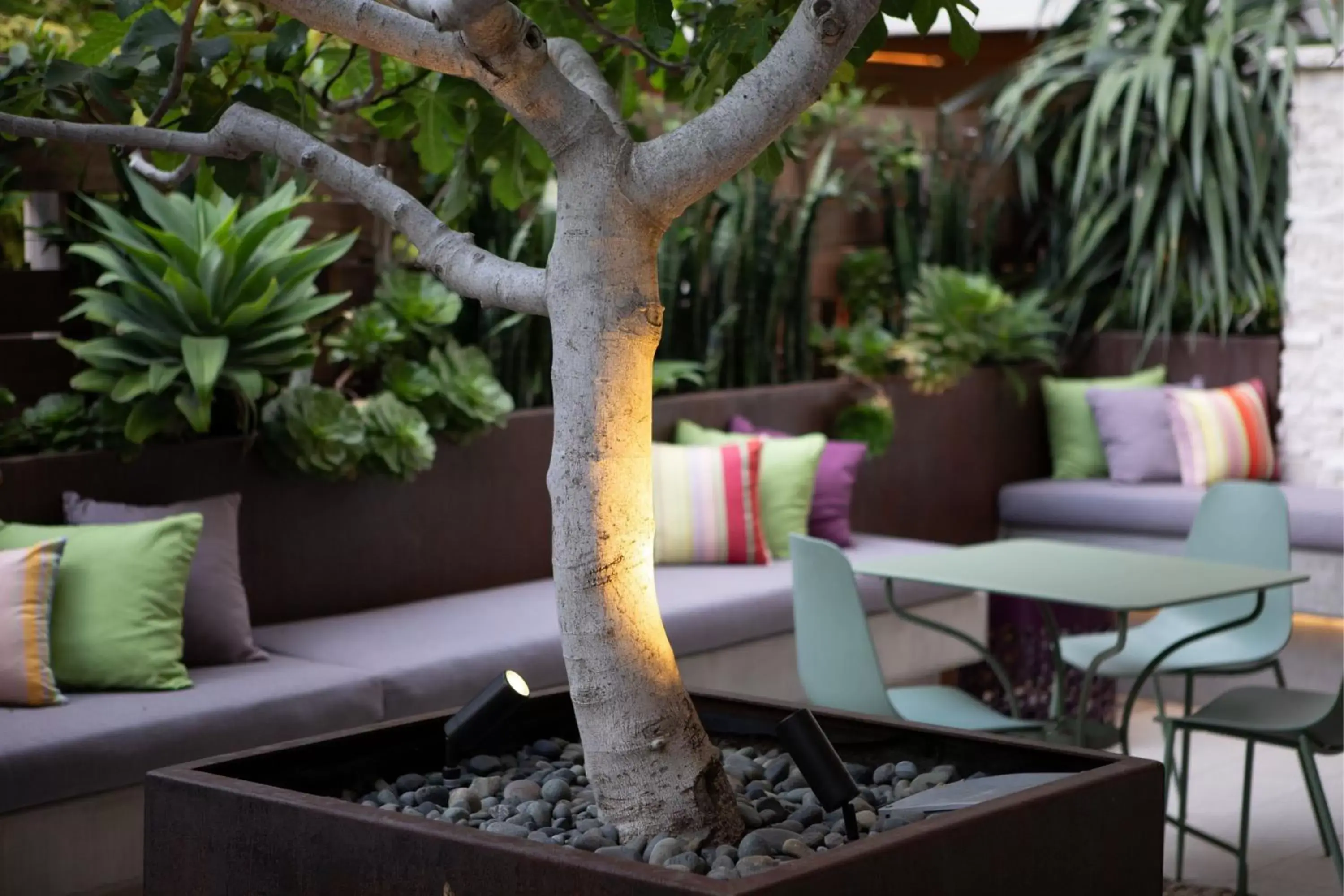 Restaurant/places to eat in HOTEL CERRO, Autograph Collection Restaurant/places to eat in HOTEL CERRO, Autograph Collection