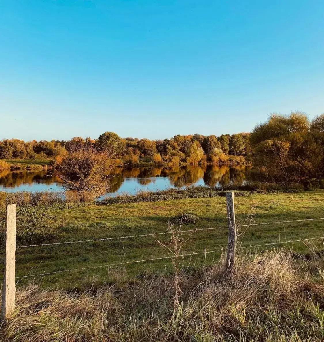 Natural Landscape in La Gouronerie