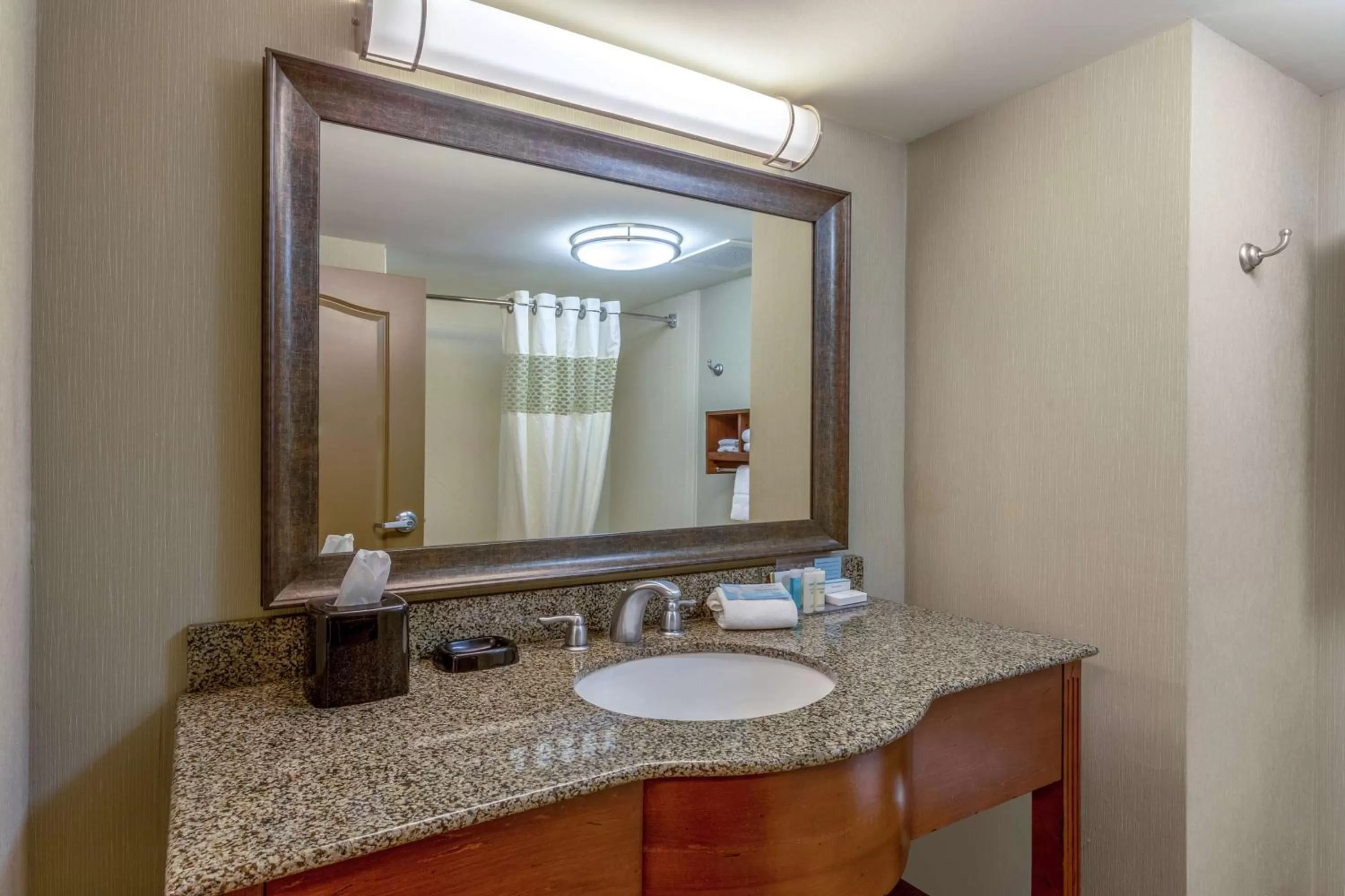 Bathroom in Hampton Inn Okeechobee - Lake Okeechobee
