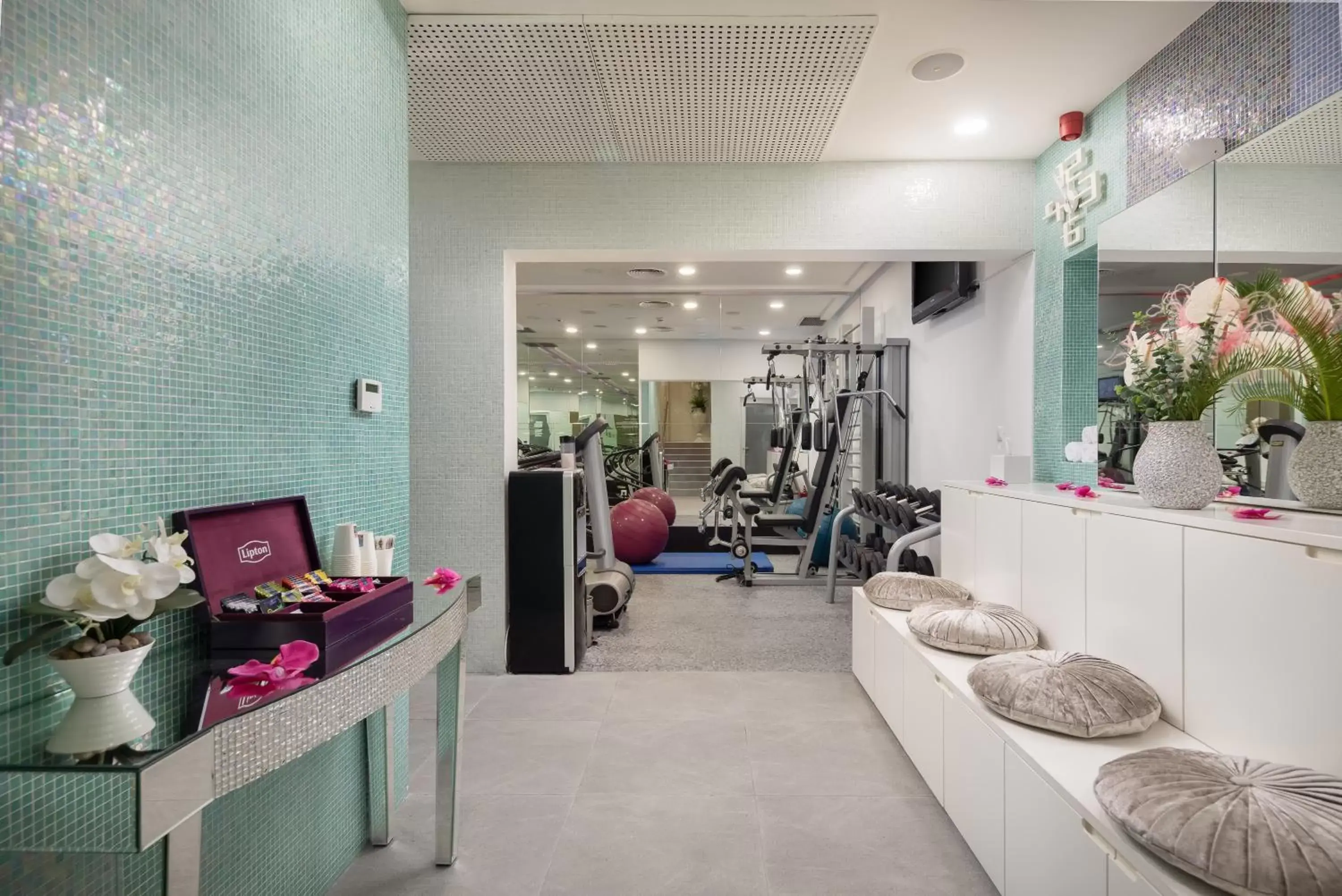 Fitness centre/facilities, Lobby/Reception in Hotel Luxe