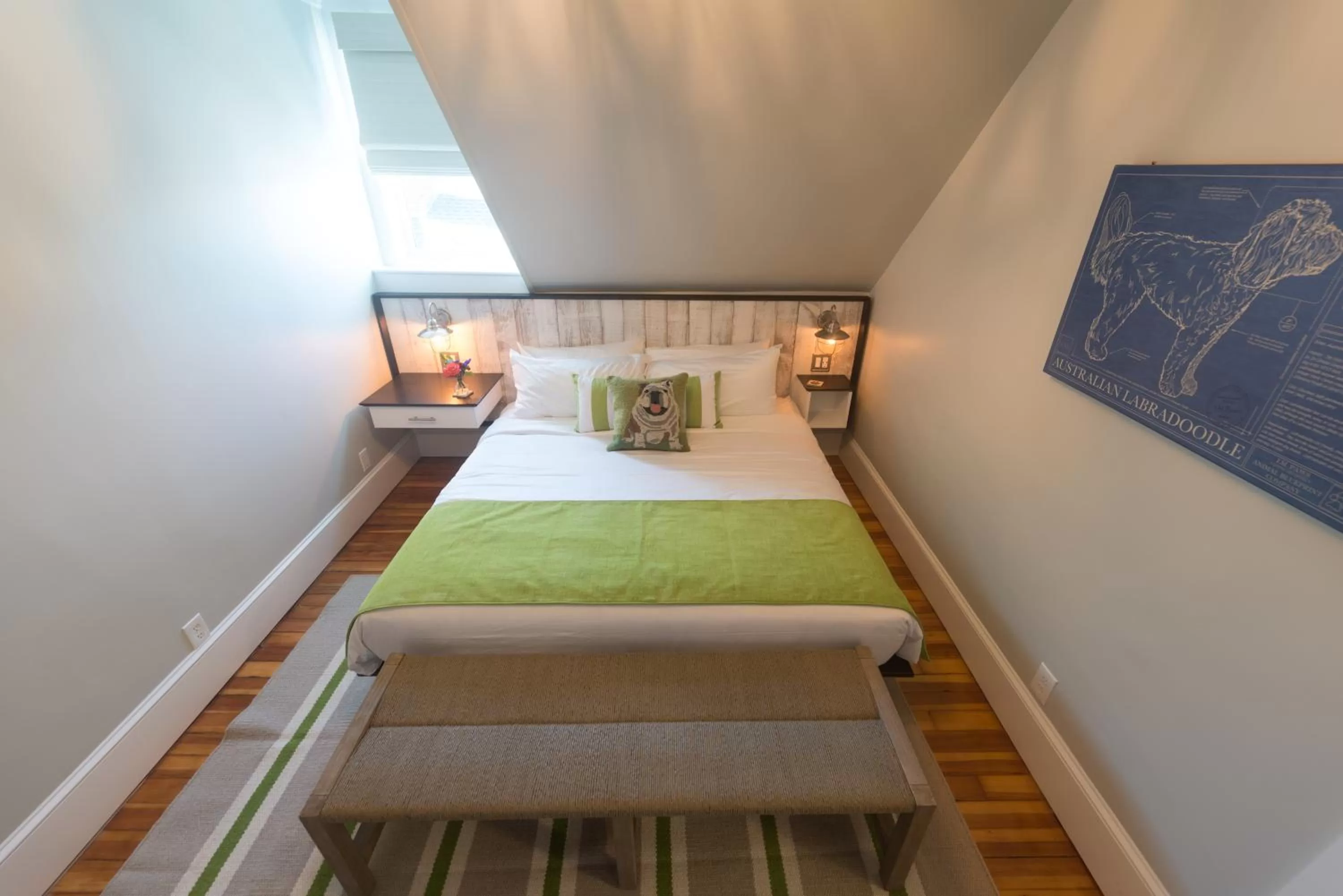 Bed in Paws on Pelham