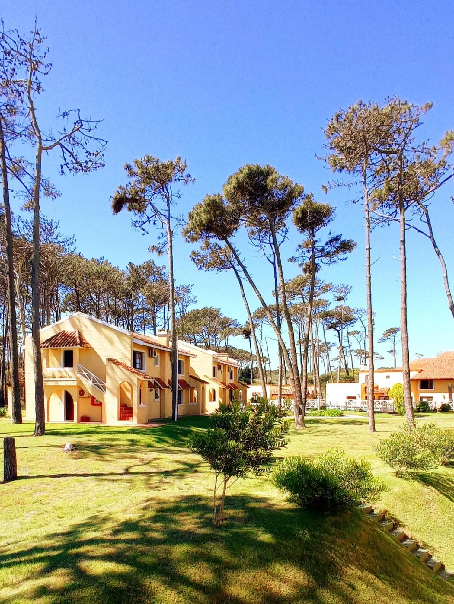 Property Building in Pino Dorado