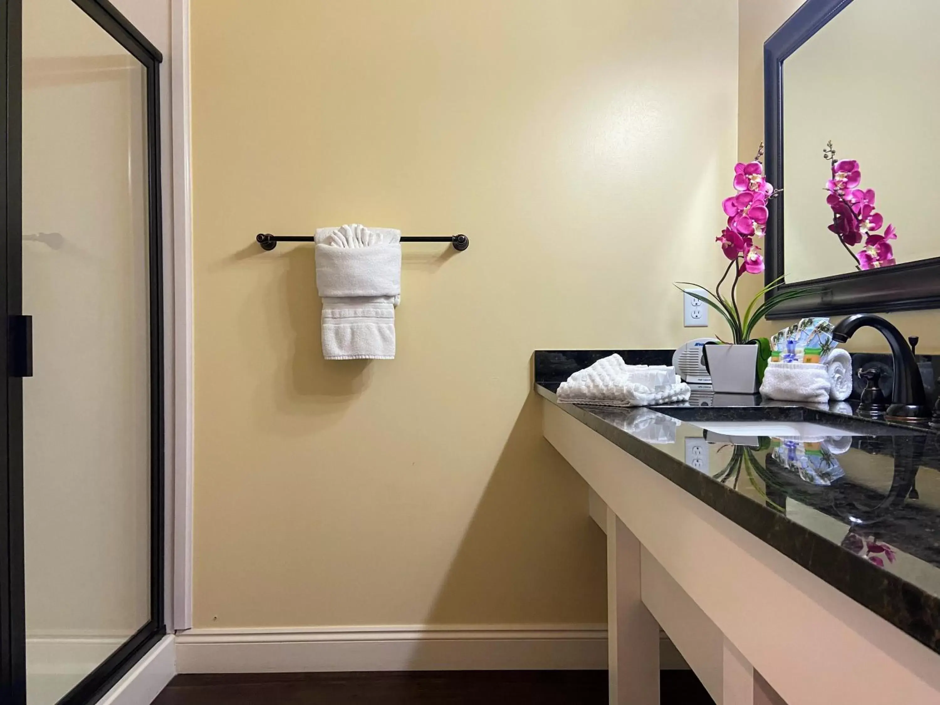 Shower, Bathroom in 30-A Inn & Suites