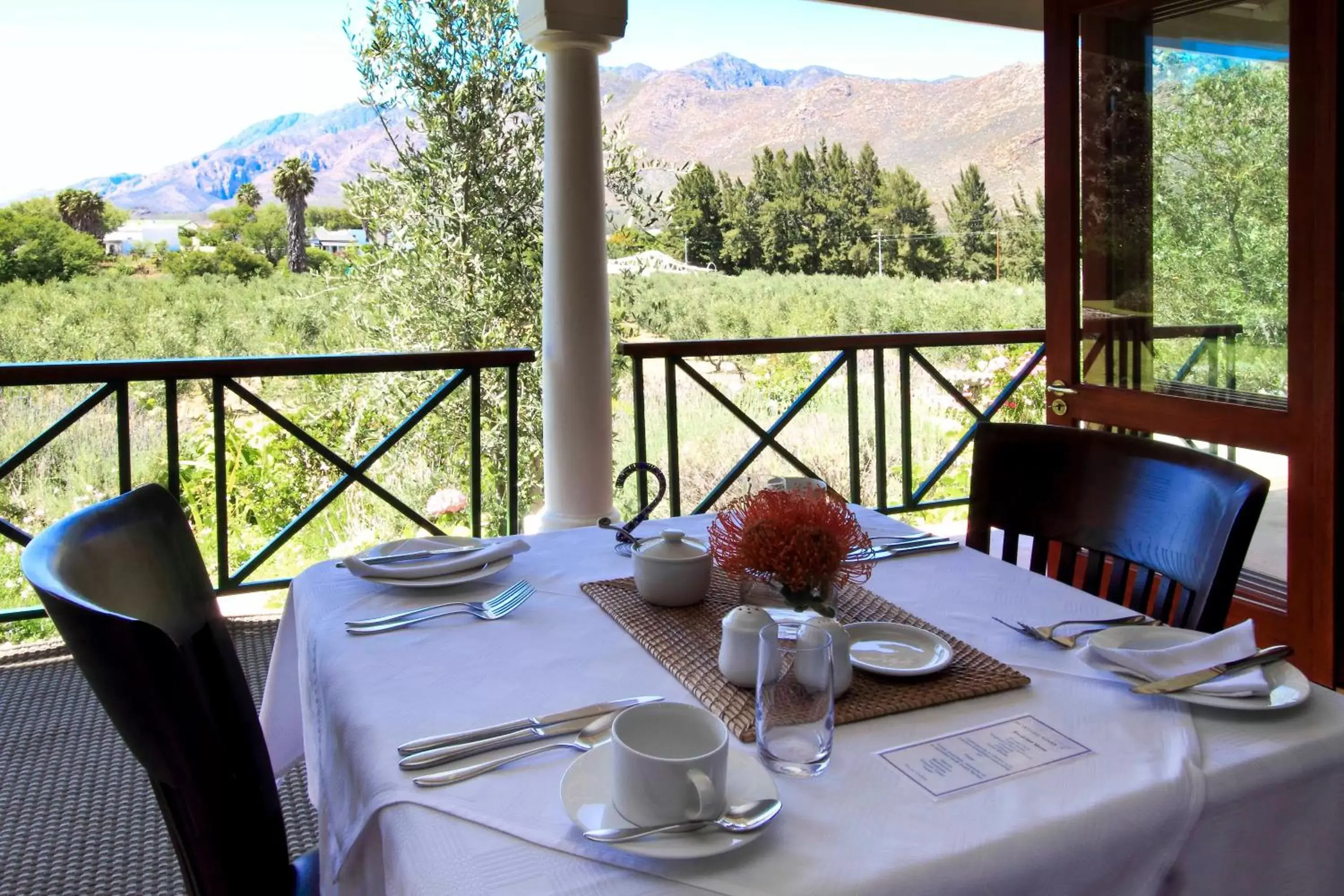 Garden, Restaurant/Places to Eat in Montagu Vines Guesthouse