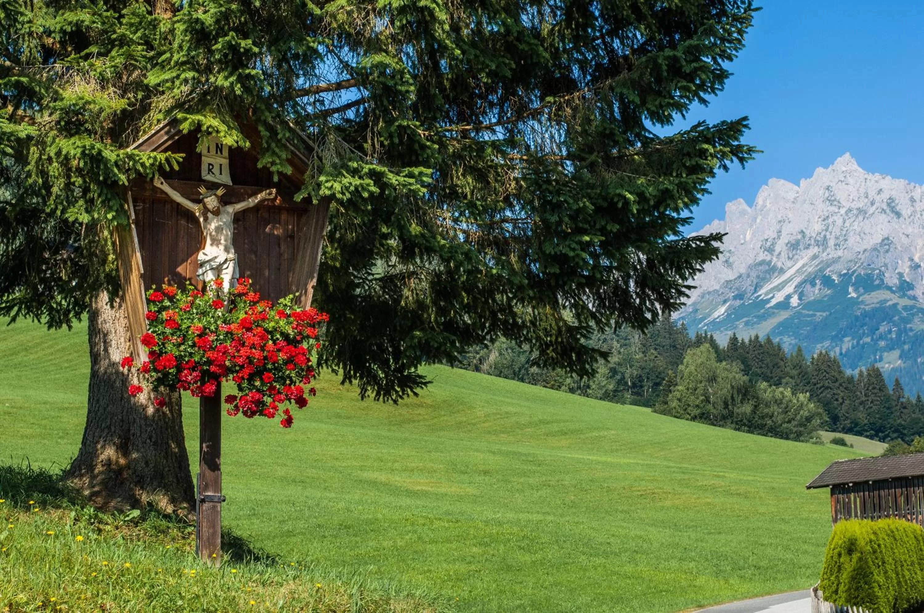 Natural landscape in Hotel und Alpen Apartments - Bürglhöh