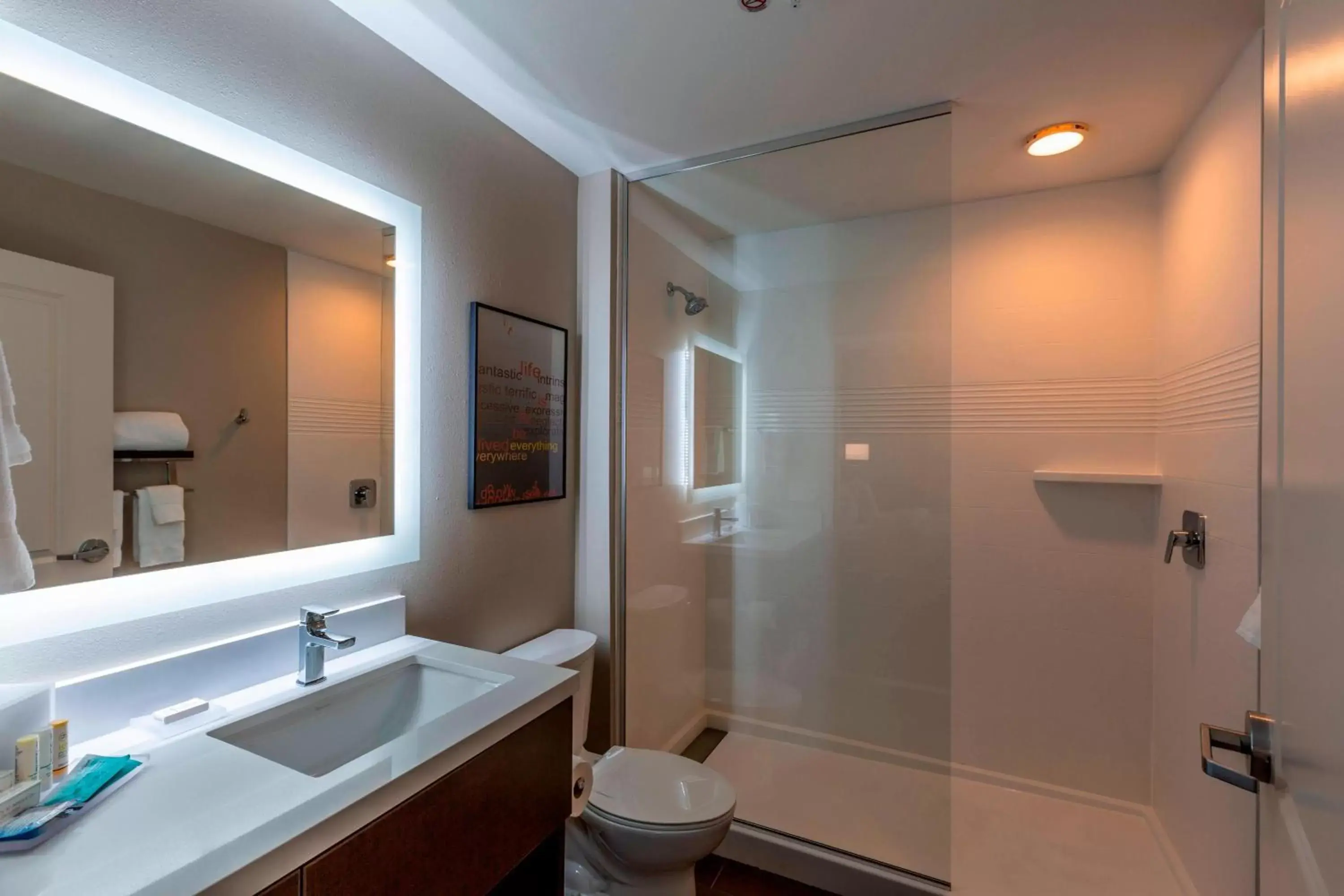 Bathroom in TownePlace Suites by Marriott Lexington Keeneland/Airport