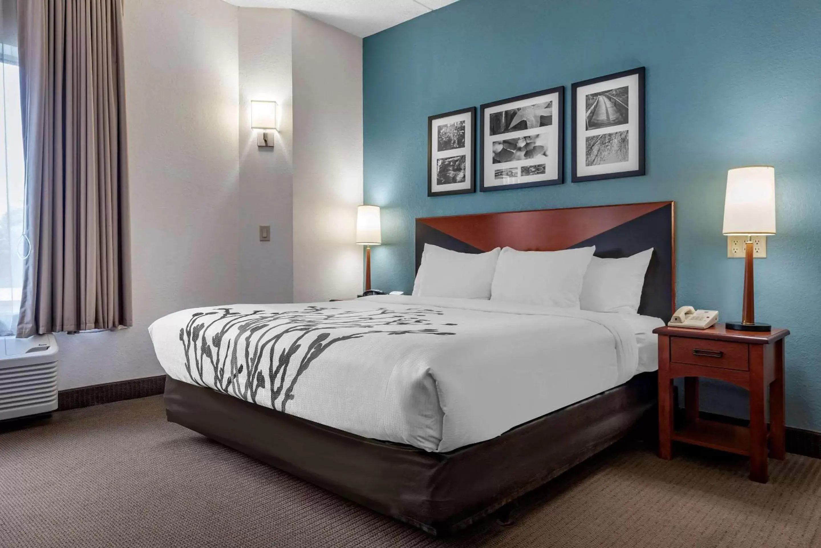 Standard King Room - Disability Access/Non-Smoking in Sleep Inn Amherst - Buffalo North near University Standard King Room - Disability Access/Non-Smoking in Sleep Inn Amherst - Buffalo North near University