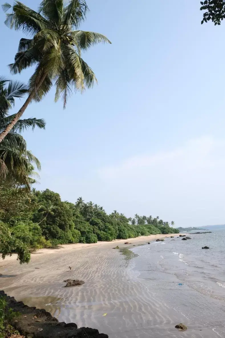 Beach in Bambolim Beach Resort