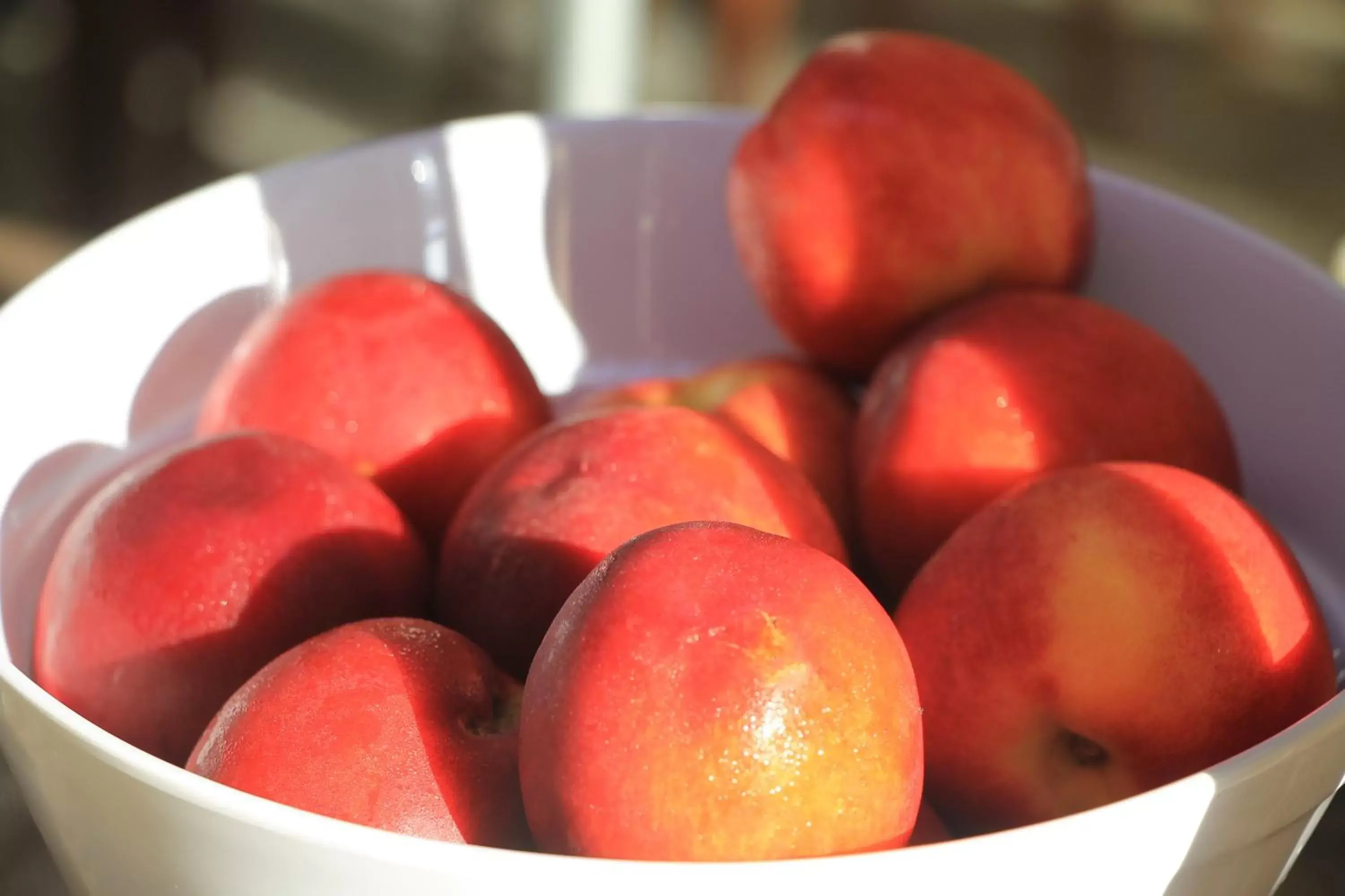 Food in Grand Hotel Pomorie - Medical spa Food in Grand Hotel Pomorie - Medical spa