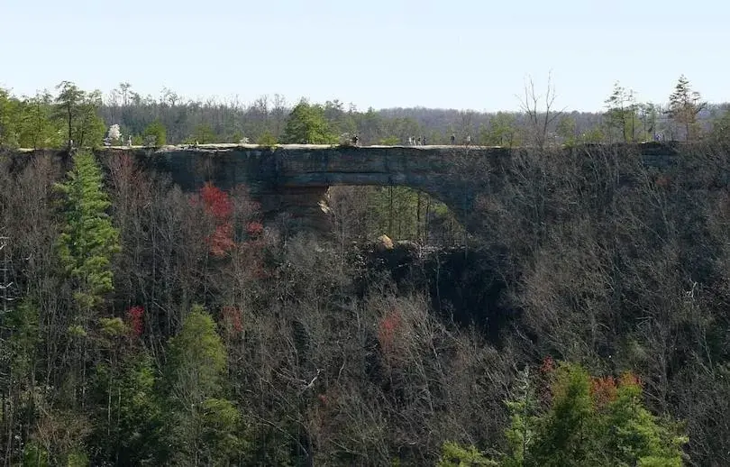 Natural Landscape in Big South Fork Trail Lodge