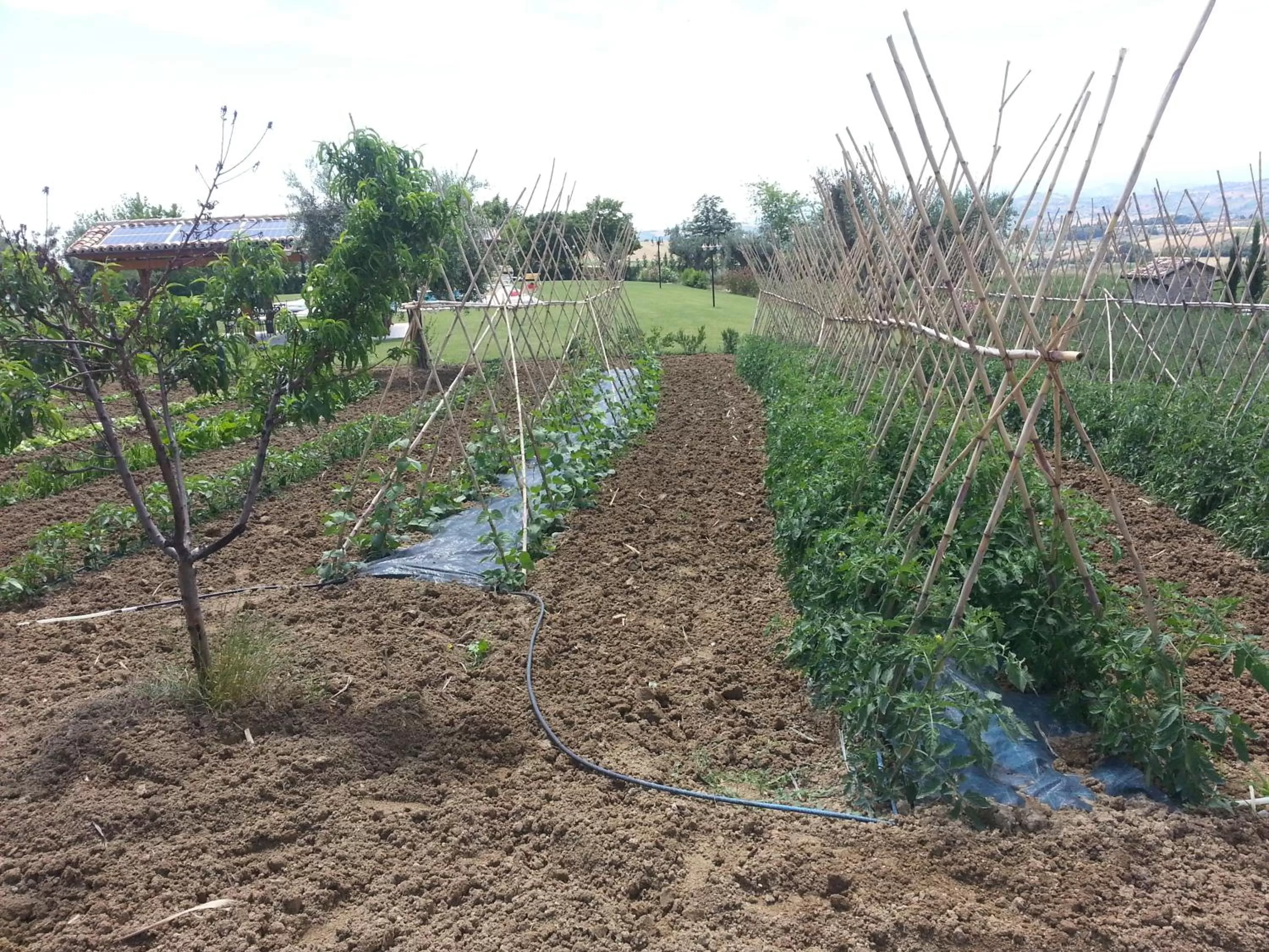 Residence Colle Veroni