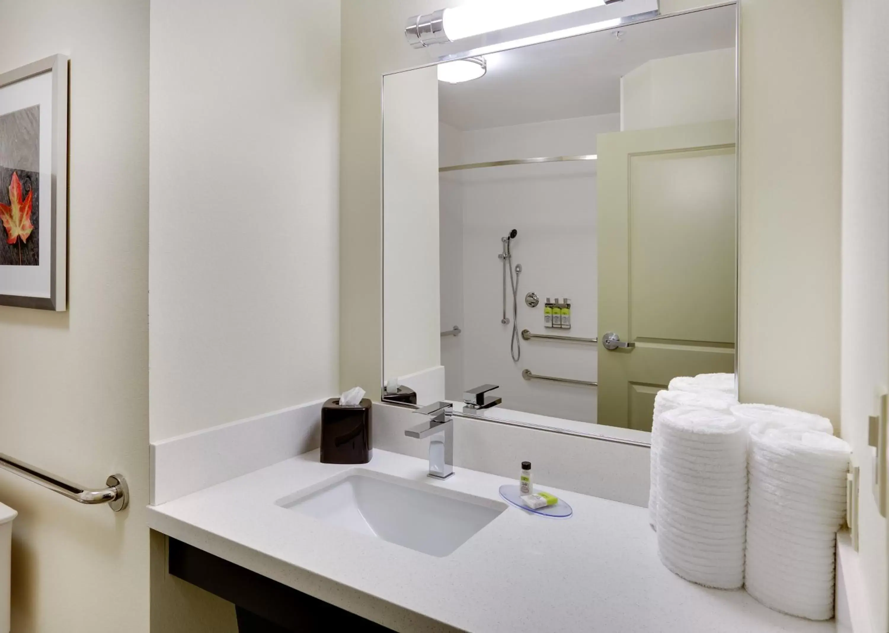 Bathroom in Candlewood Suites - Farmers Branch, an IHG Hotel