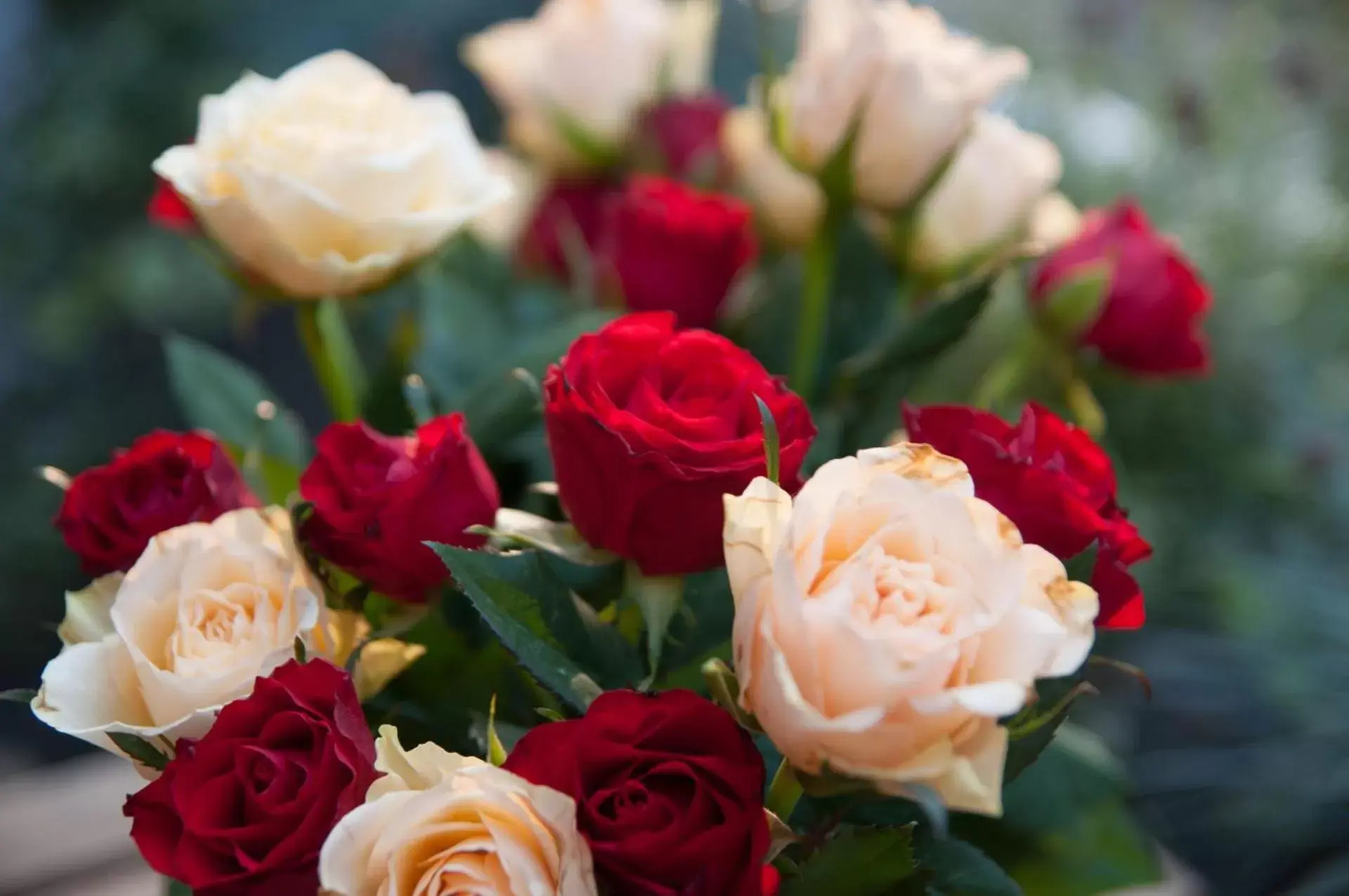 Dining area in also-Hotel an der Hardt Dining area in also-Hotel an der Hardt