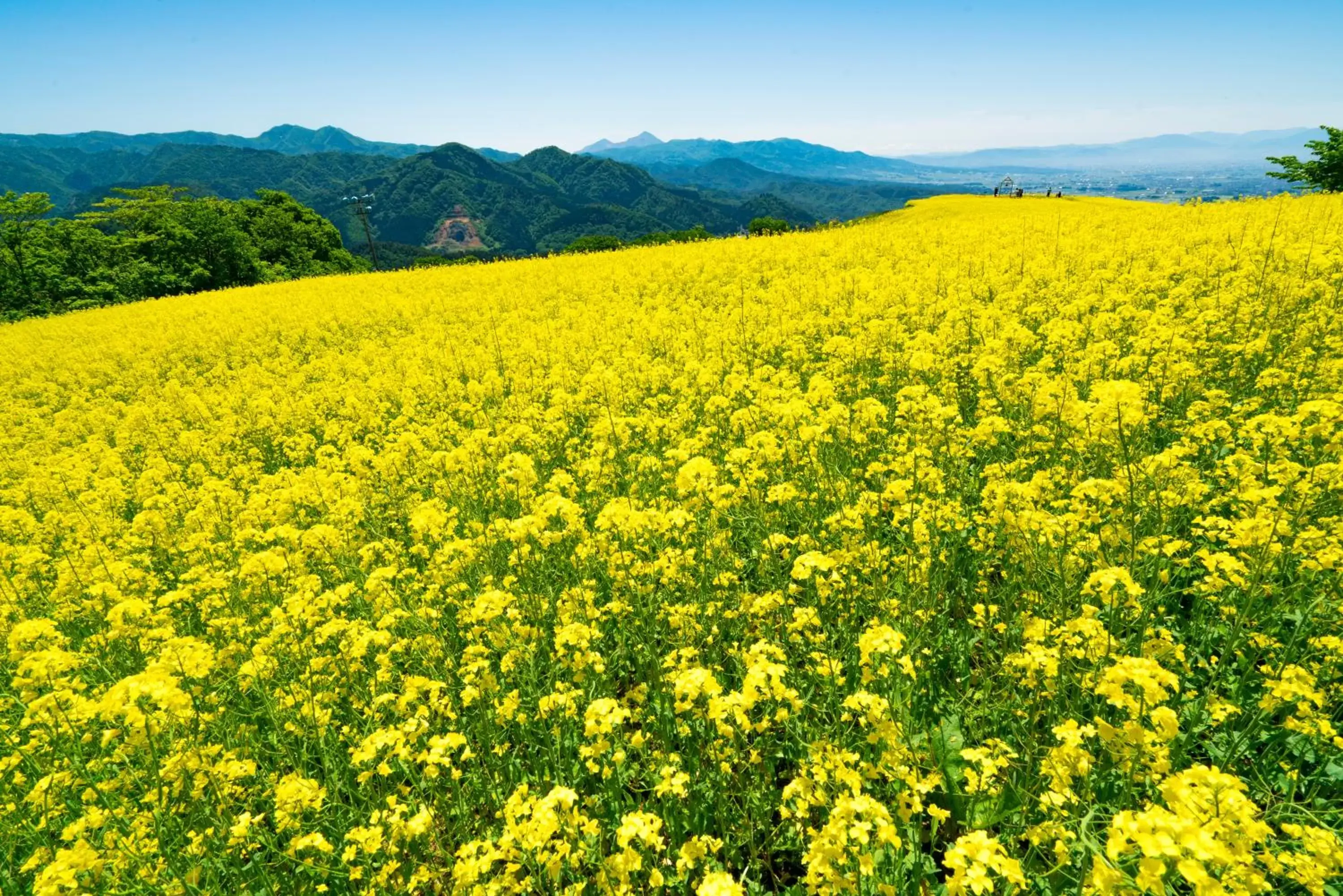 Nearby landmark, Natural Landscape in APA Hotel Fukushima Ekimae