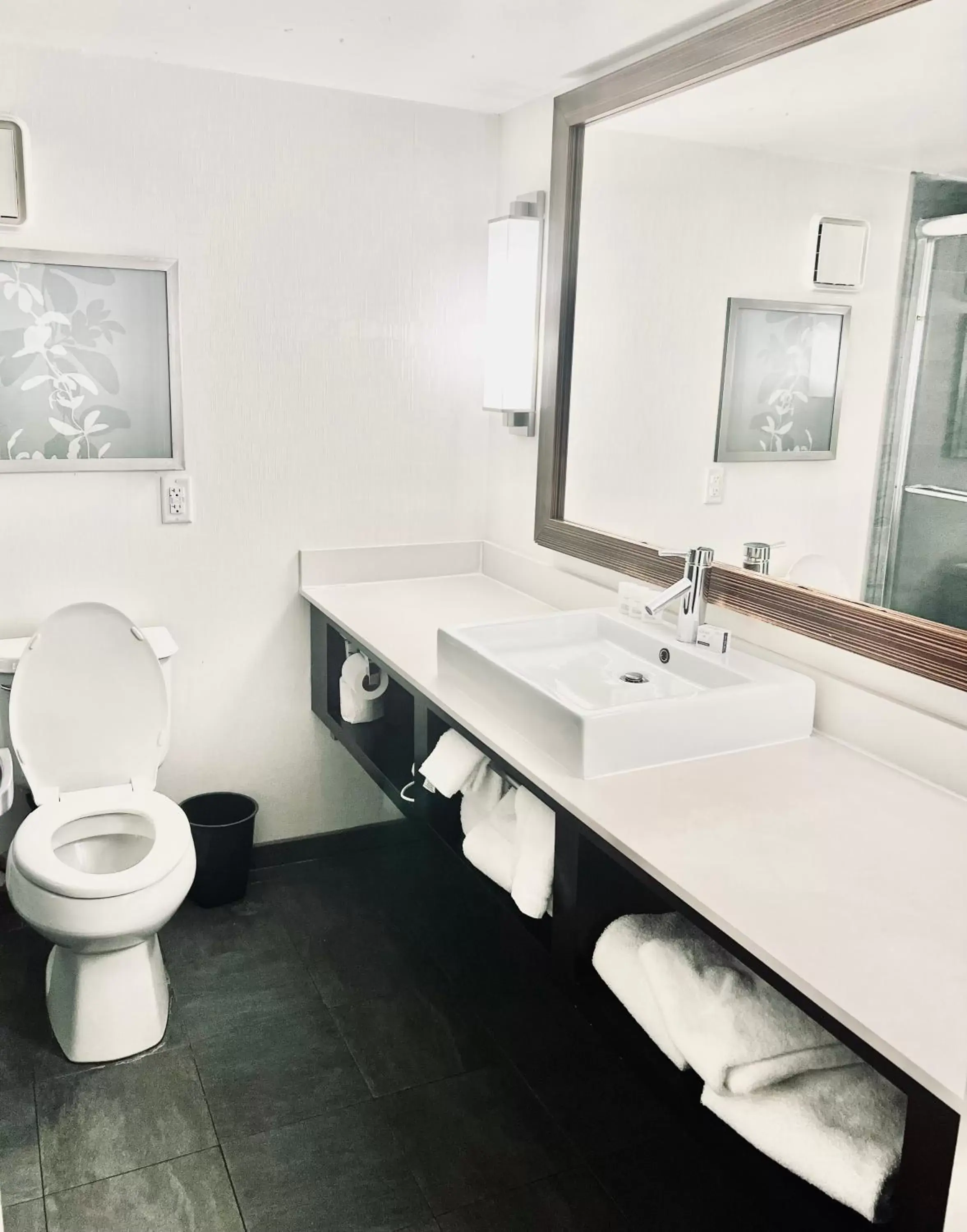 Toilet, Bathroom in Holiday Inn Virginia Beach - Norfolk, an IHG Hotel