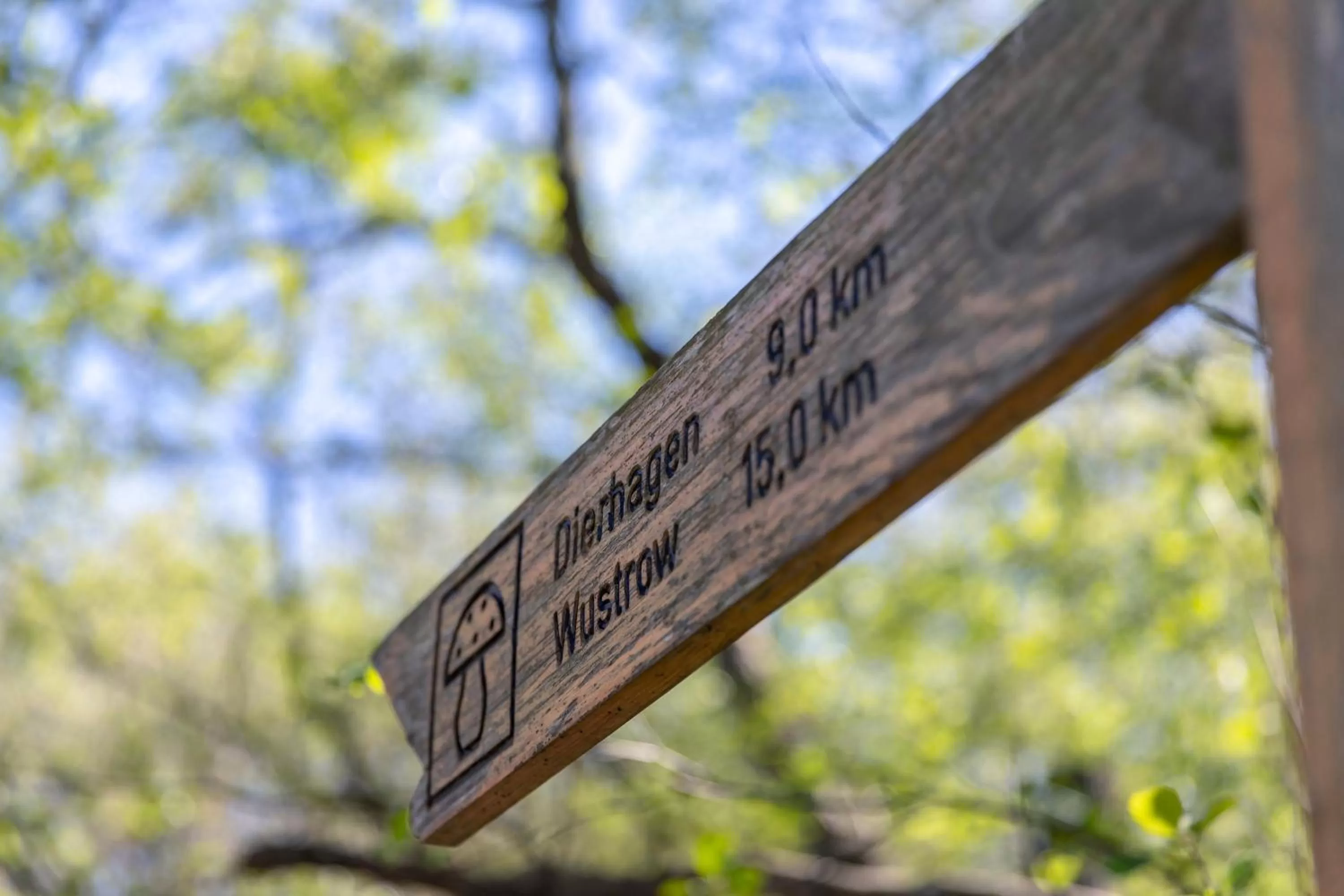 Natural landscape in Hotel zur Ostsee