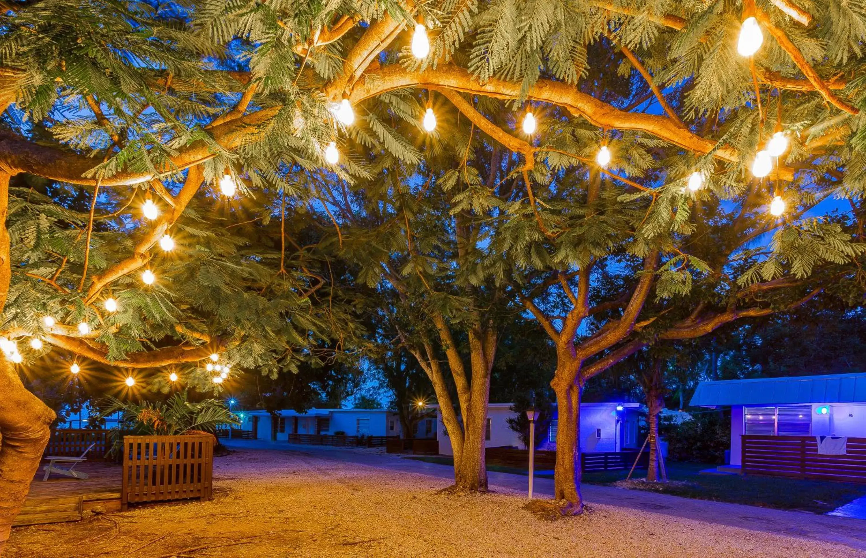 Garden in Drift Hotel