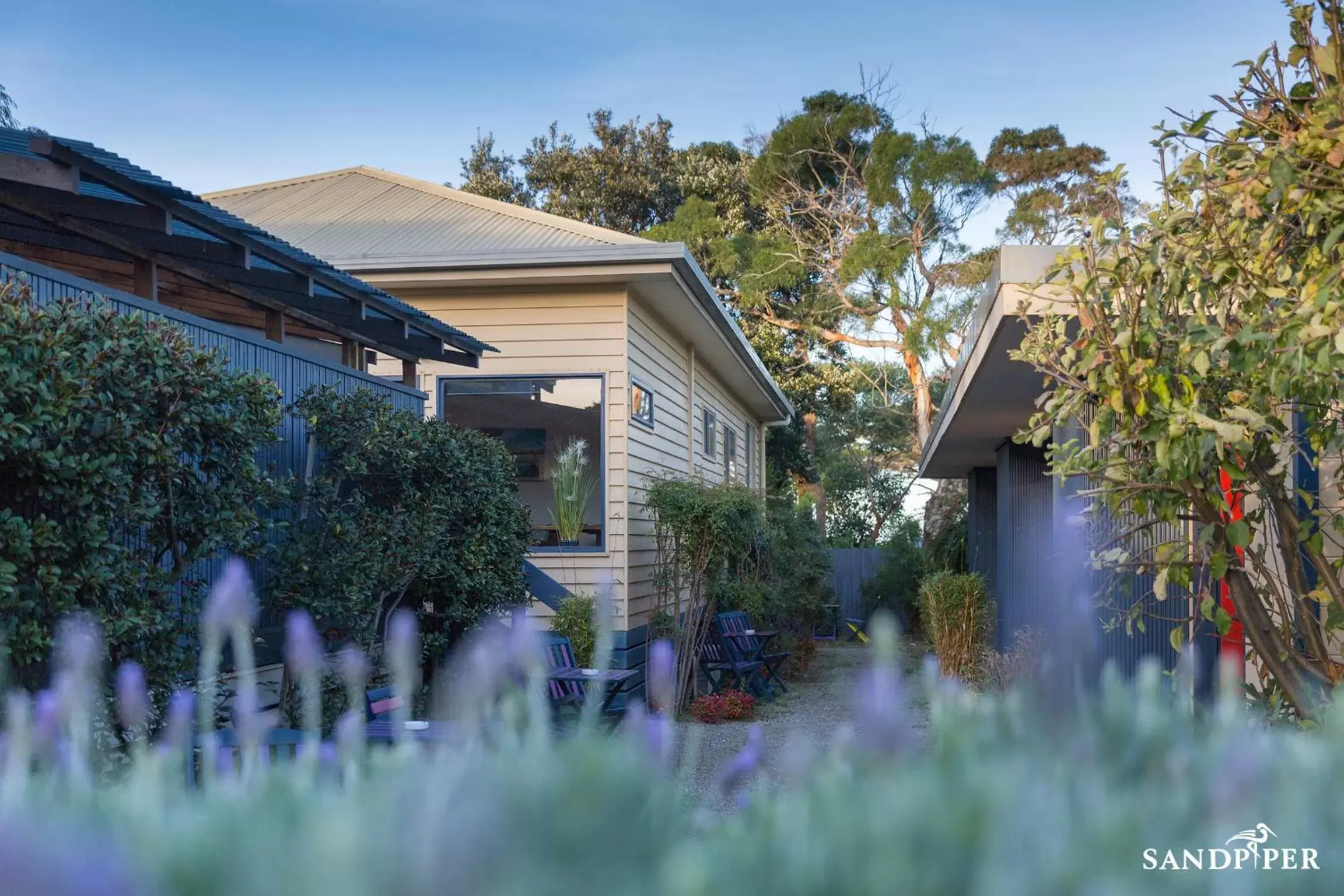 Garden, Property Building in Sandpiper Motel Apollo Bay