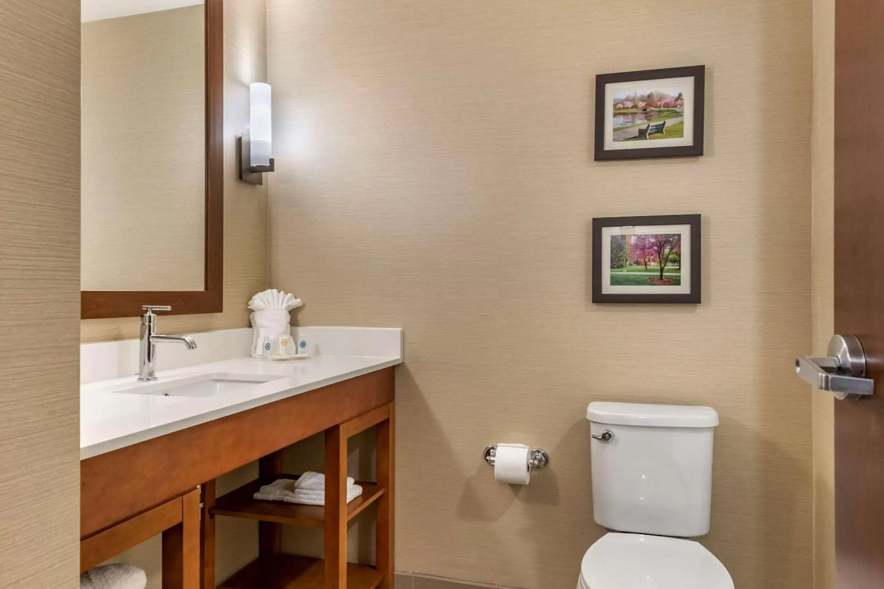 Photo of the whole room, Bathroom in Comfort Suites Camp Hill-Harrisburg West