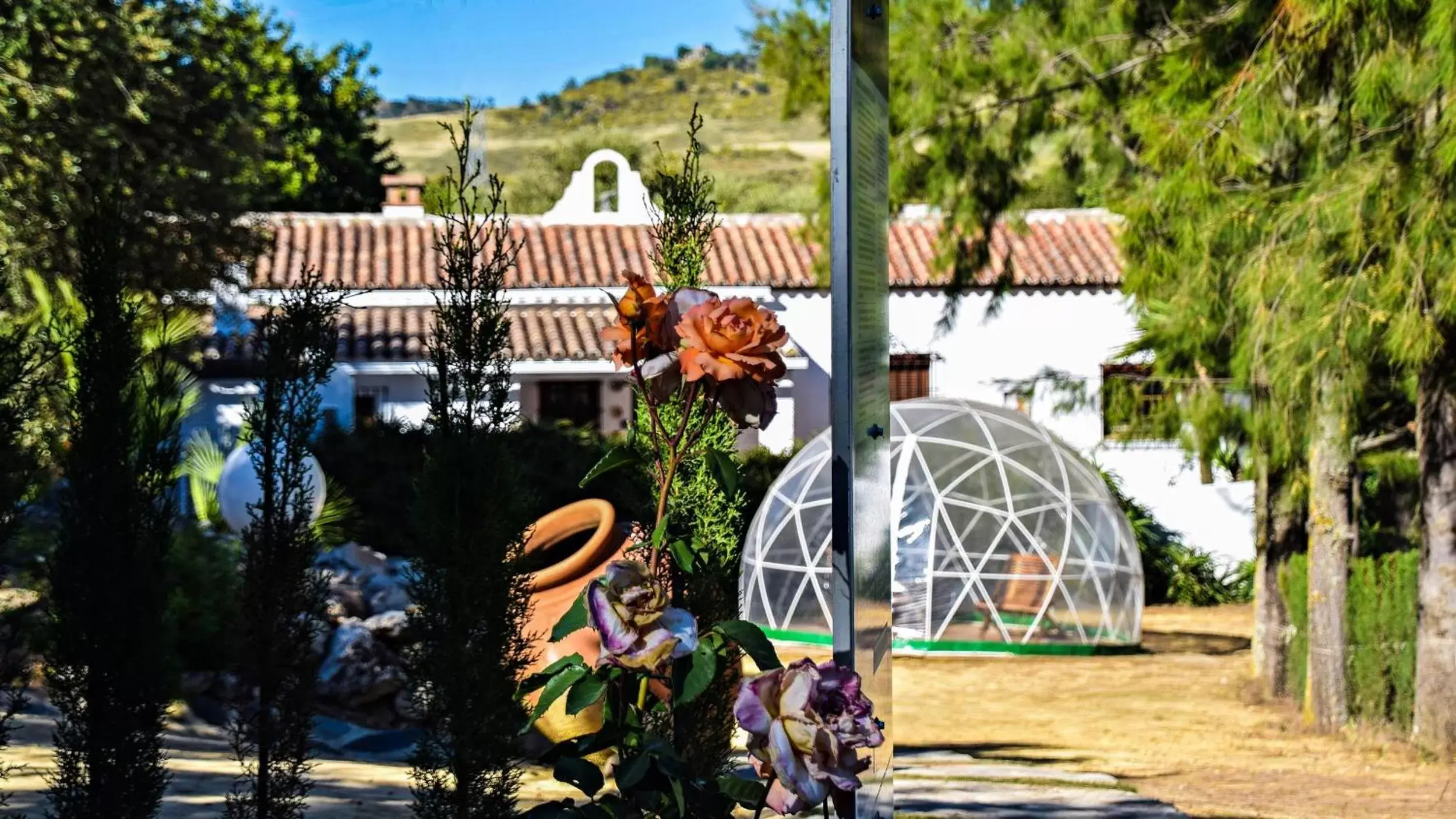 Facade/entrance in Casas Rurales Los Algarrobales