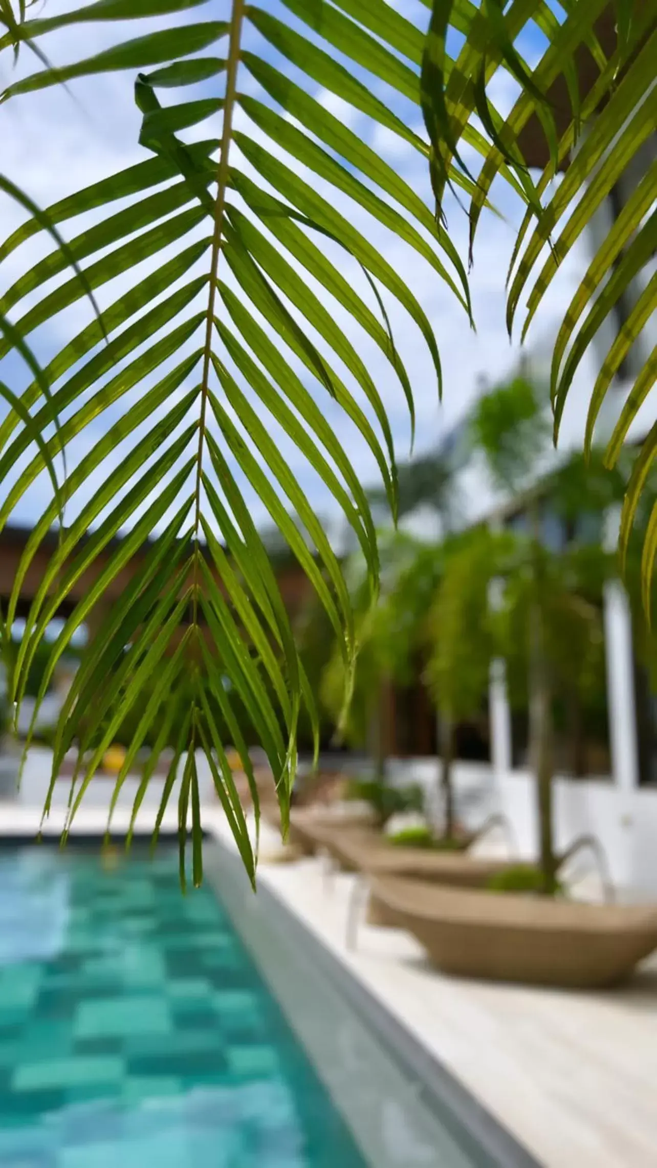 Swimming Pool in Ahana Resort El Nido