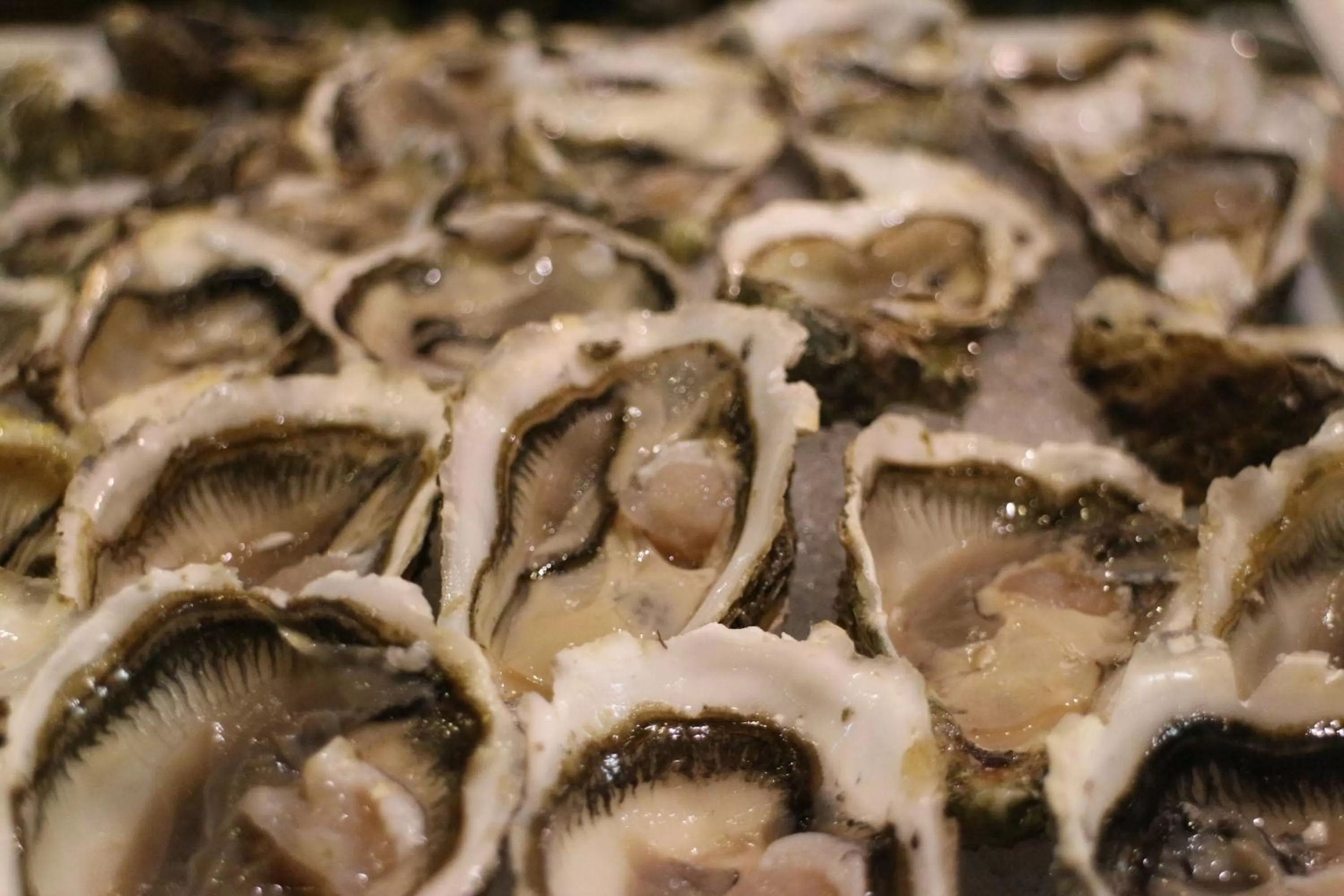 Food in Kenzi Club Agdal Medina - All Inclusive