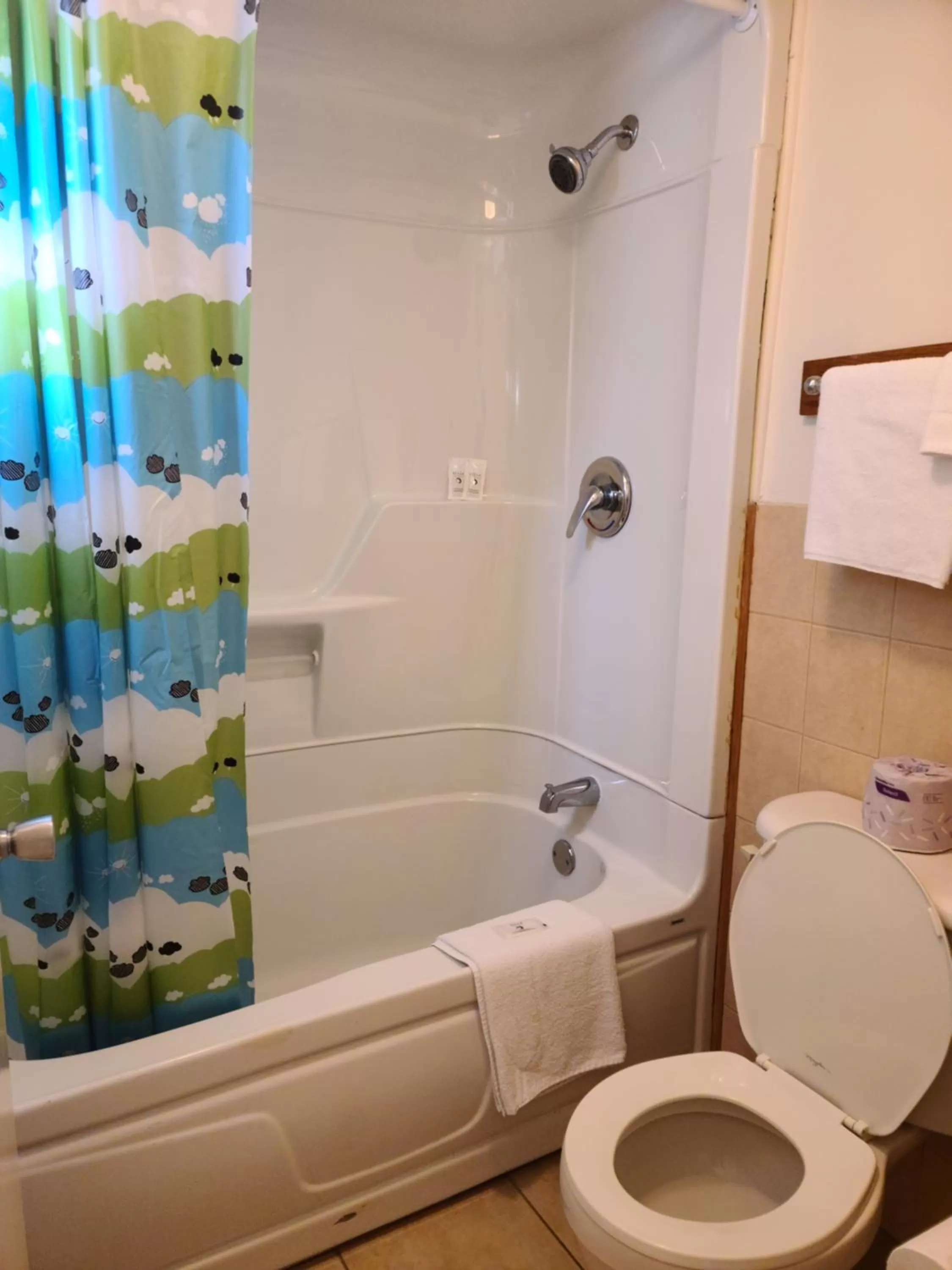 Bathroom in Choice Inn by the falls